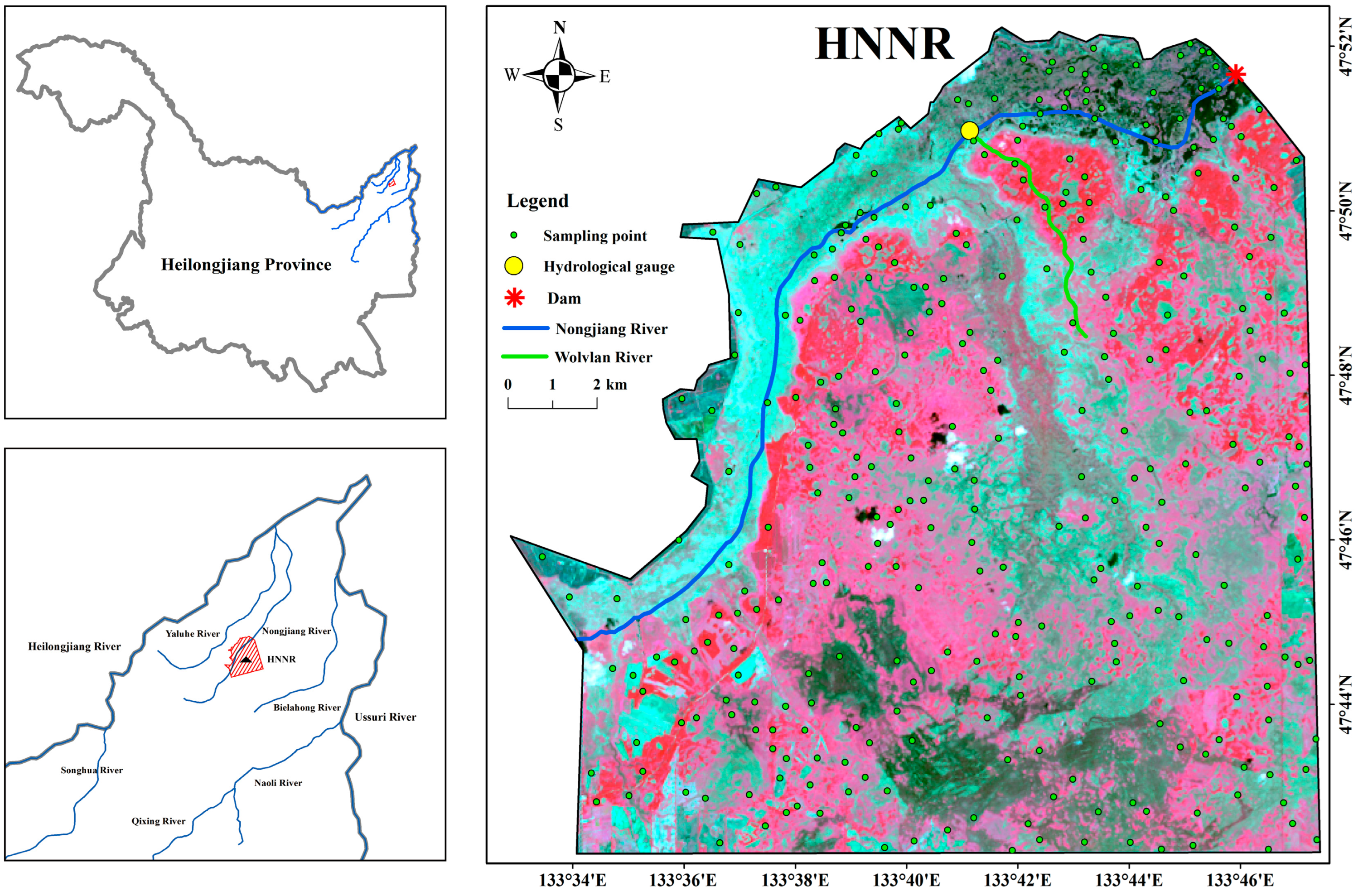 Impact of Hydrological Changes on Wetland Landscape Dynamics and Implications for Ecohydrological Restoration in Honghe National Nature Reserve, Northeast China Impact of Hydrological Changes on Wetland Landscape Dynamics and Implications for Ecohydrological Restoration in Honghe National Nature Reserve, Northeast China