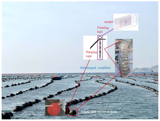 Application of a VOF Multiphase Flow Model for Issues