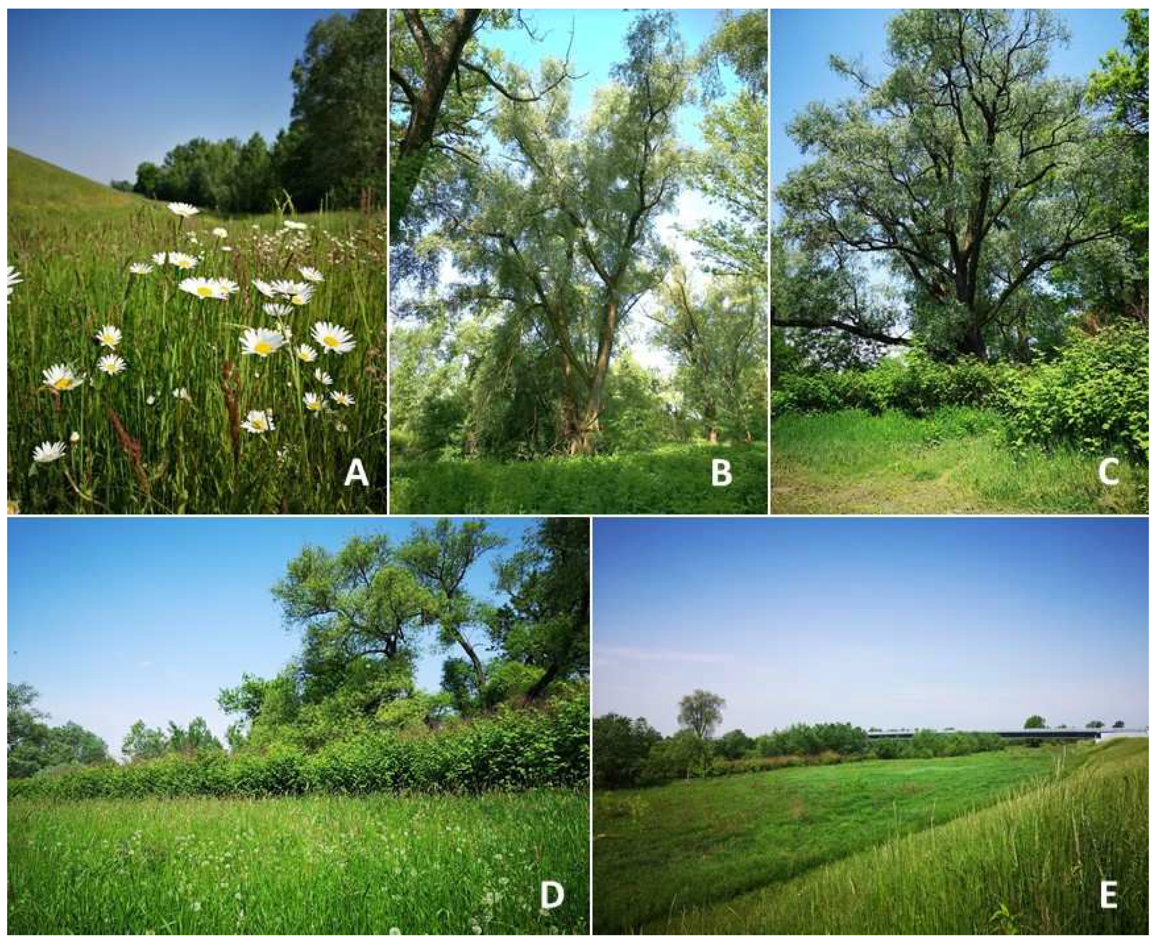 Water 15 03493 g003 Water 15 03493 g003