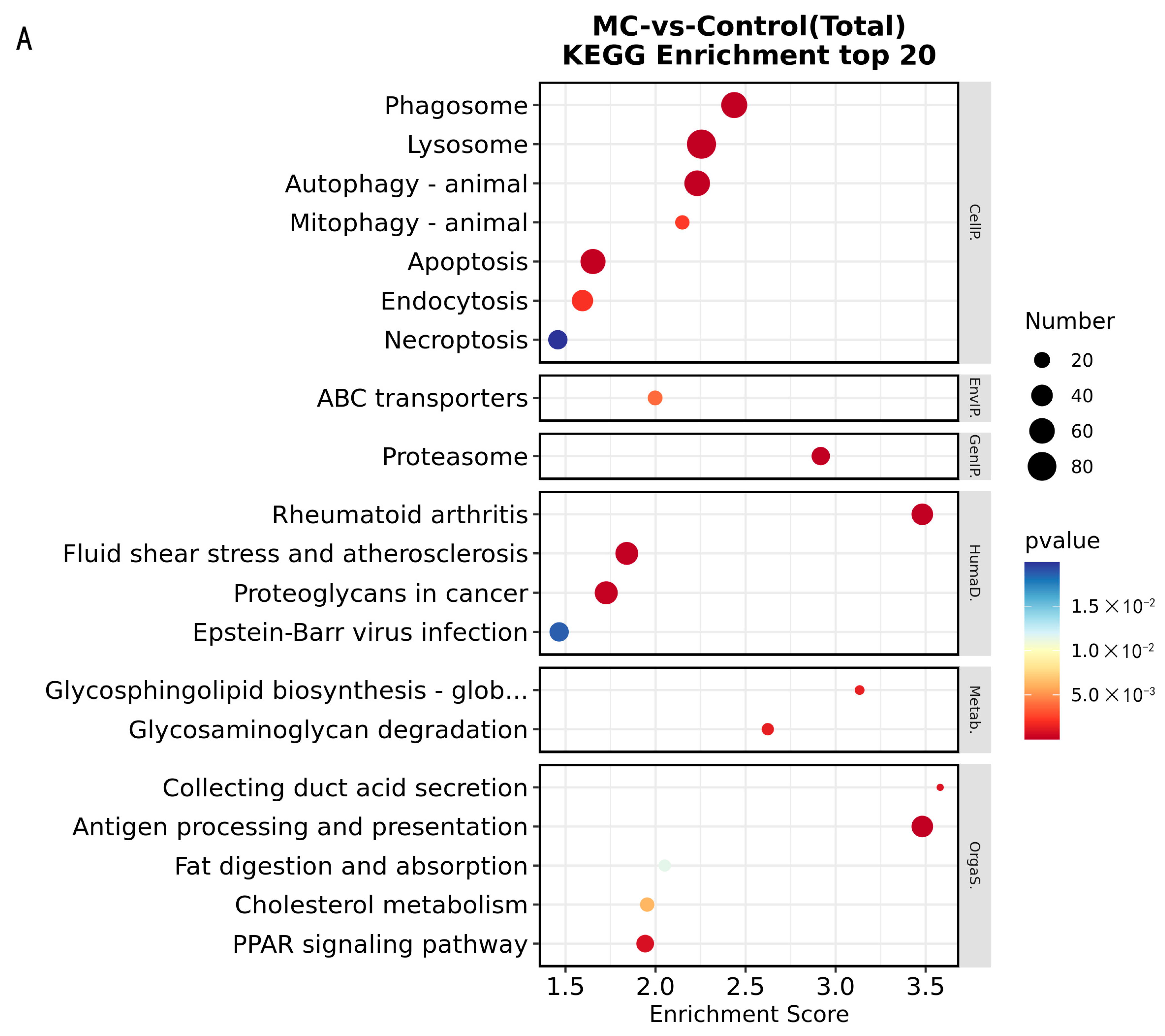Water 15 03519 g004a Water 15 03519 g004a