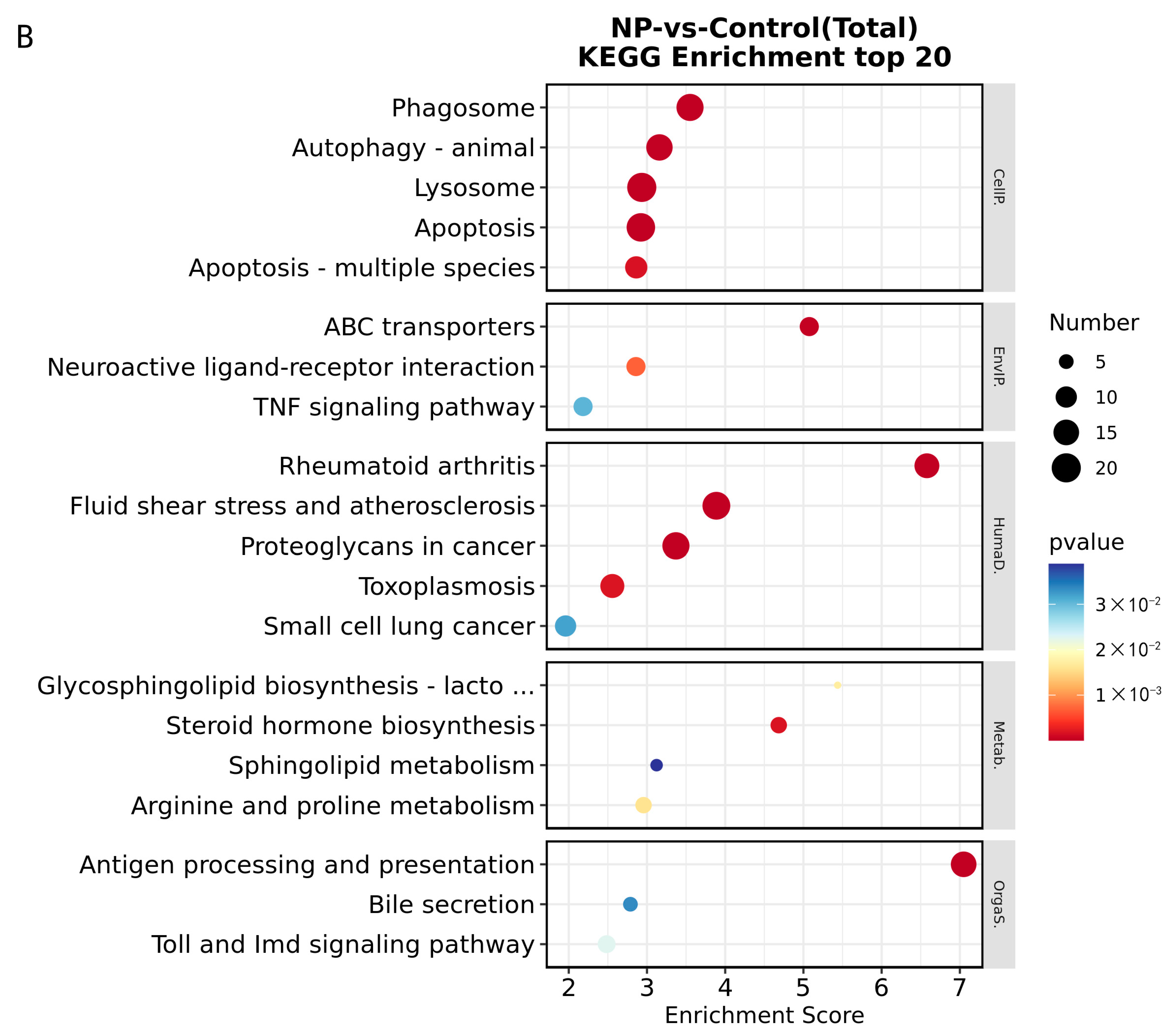 Water 15 03519 g004b Water 15 03519 g004b