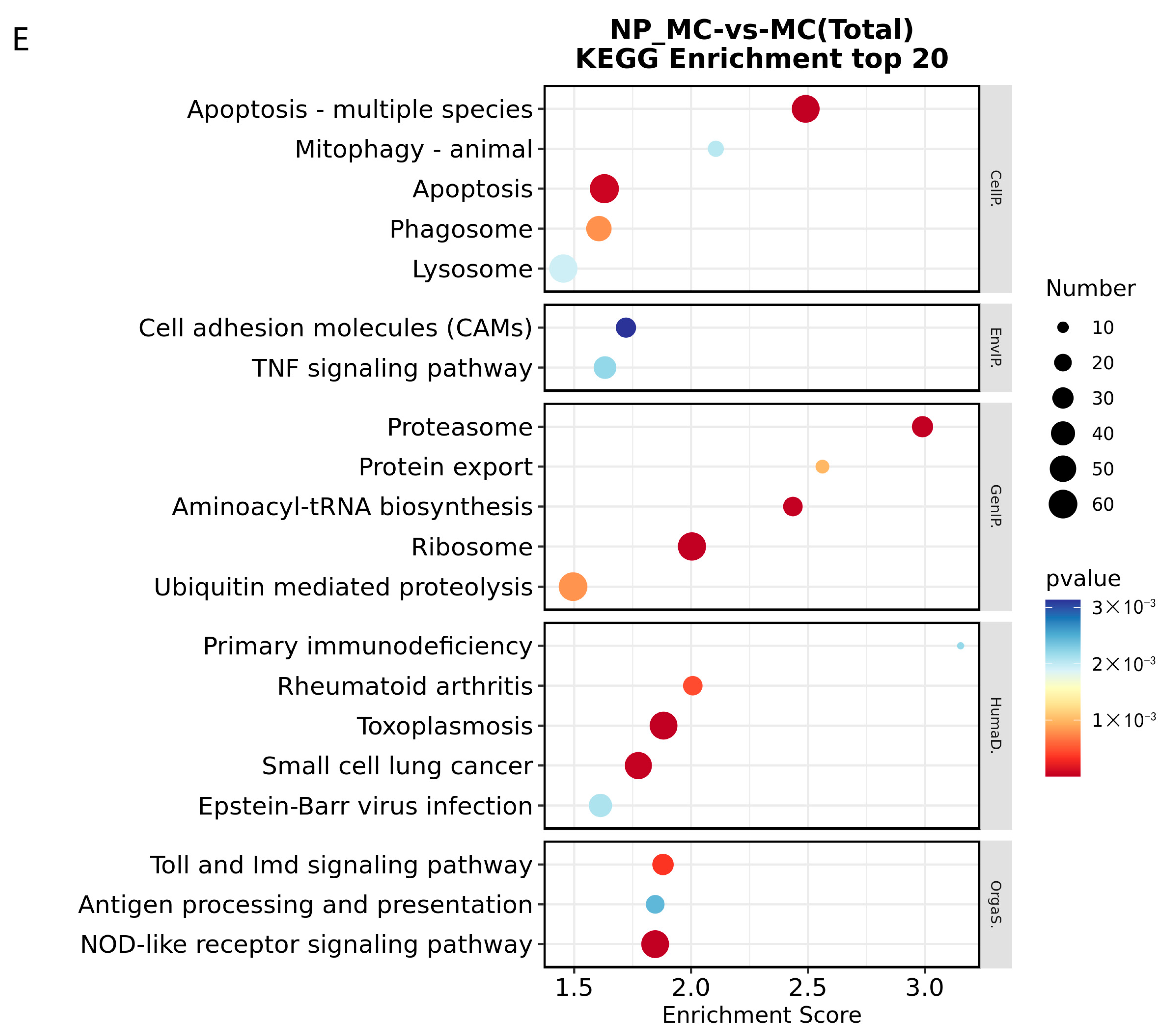 Water 15 03519 g004e Water 15 03519 g004e