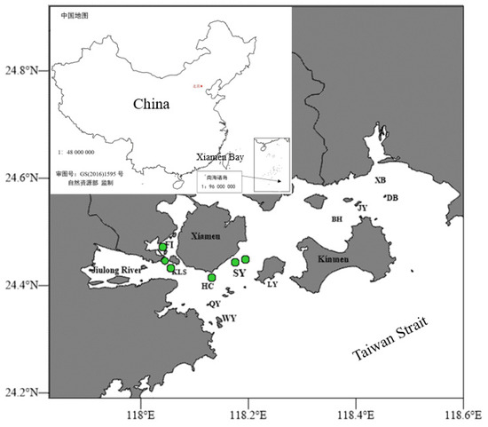 non The Species Diversity of the Genus Echinogorgia in Xiamen