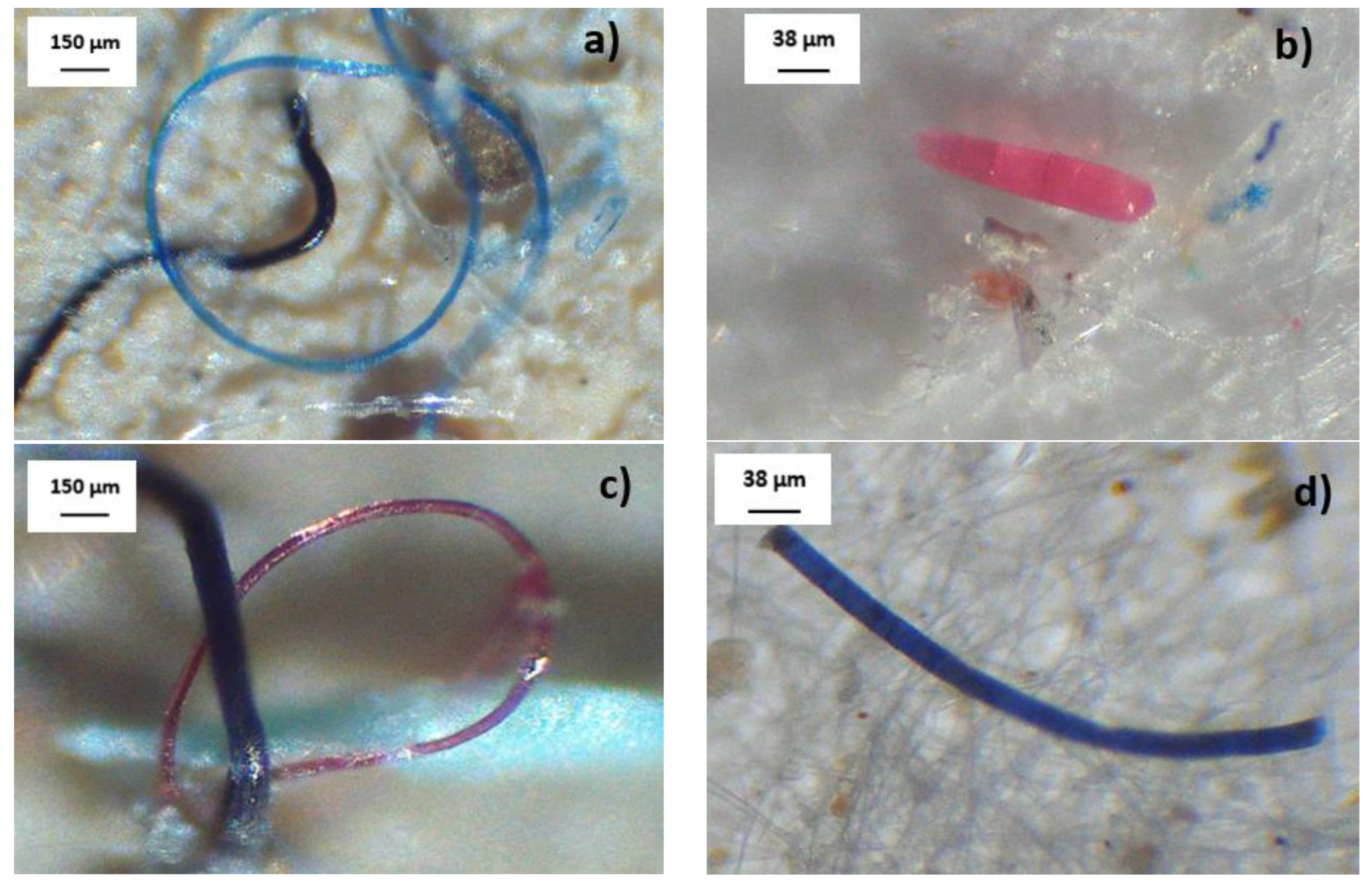 Water 15 03643 g002a