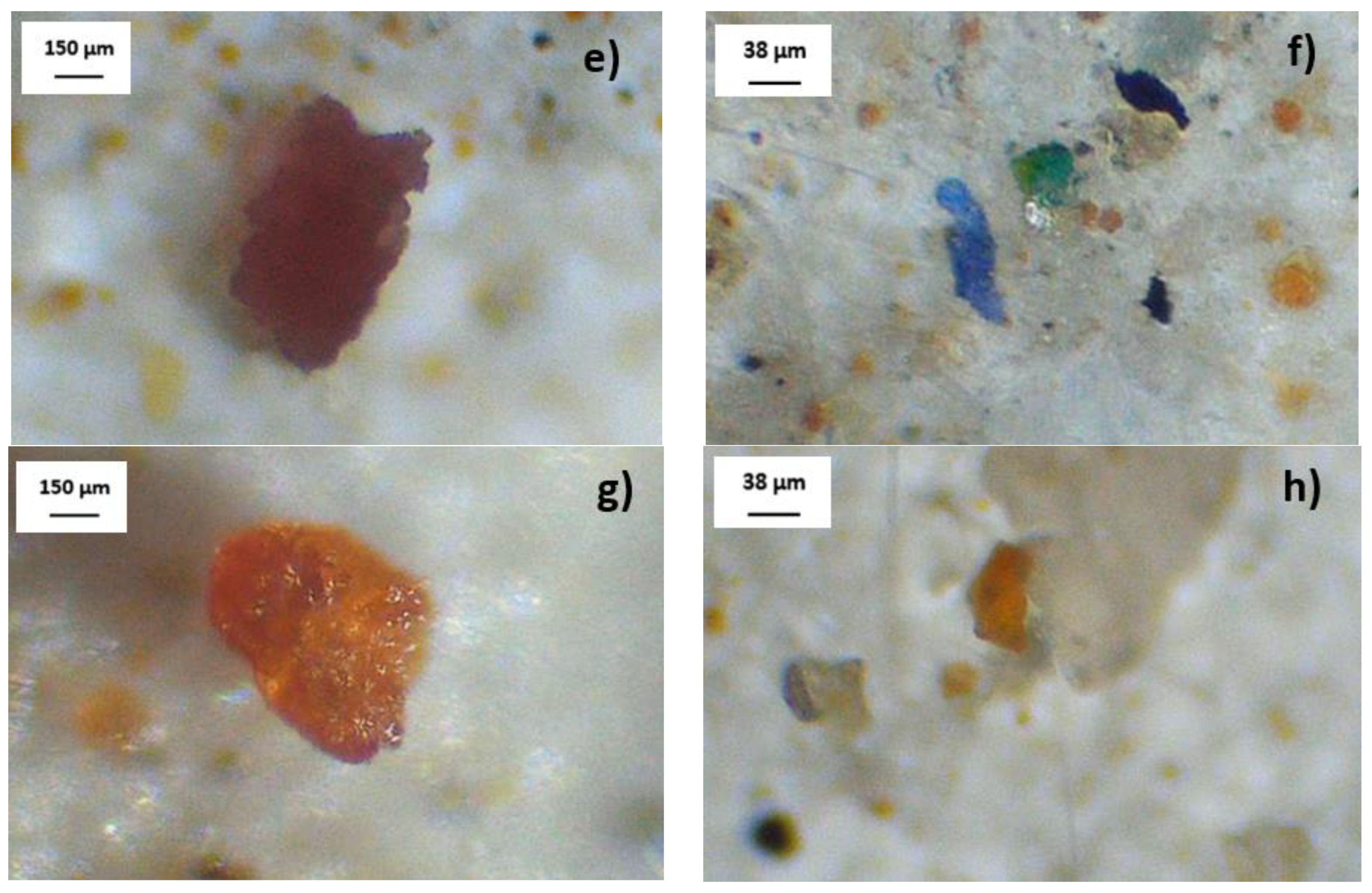 Water 15 03643 g002b