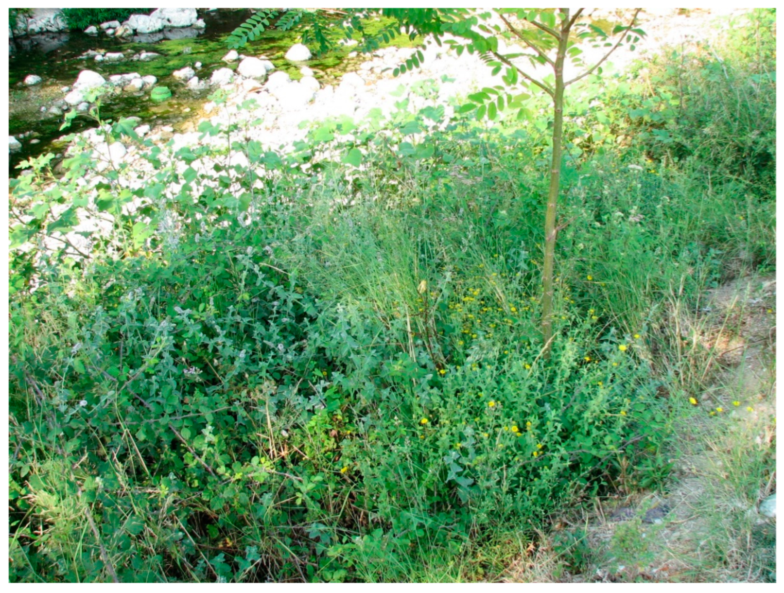 Water 15 03684 g0a10