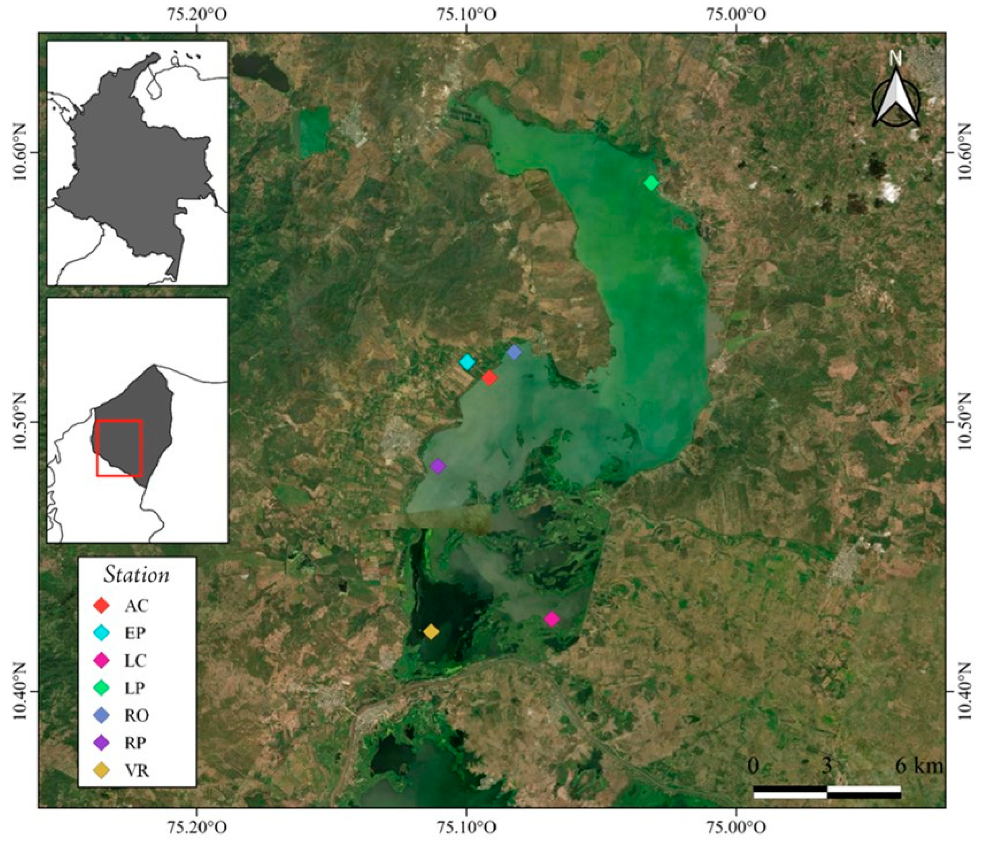 Water Free Full Text Potentially Toxic Cyanobacteria in a