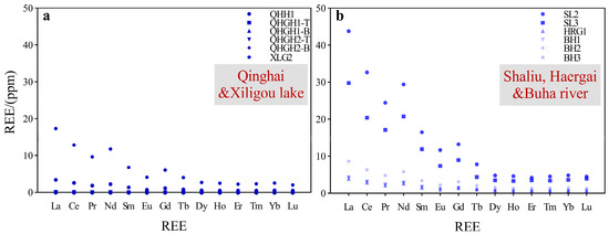 Provenance Indication of Rare Earth Elements in Lake