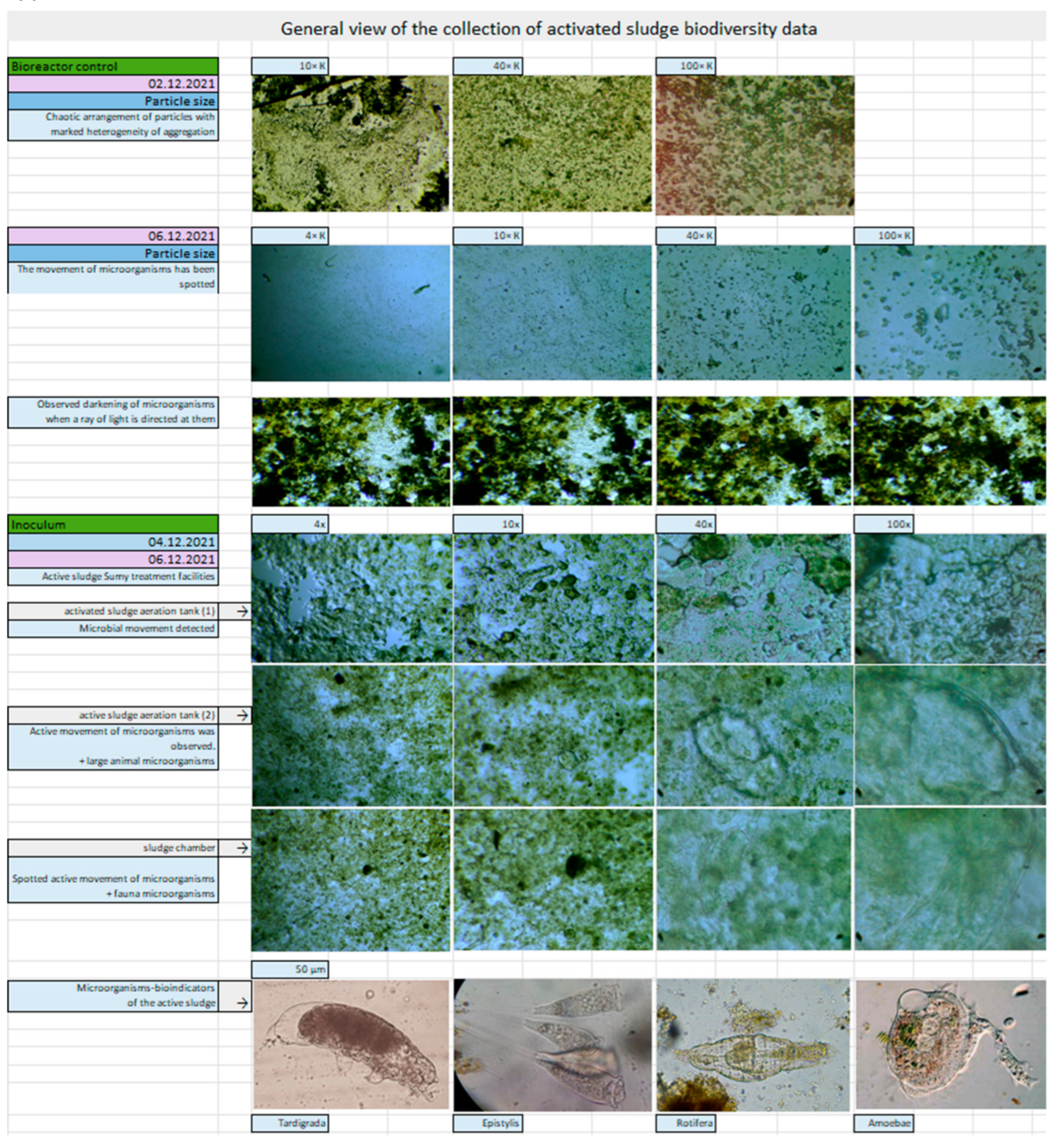 Water 15 03744 g011 Water 15 03744 g011