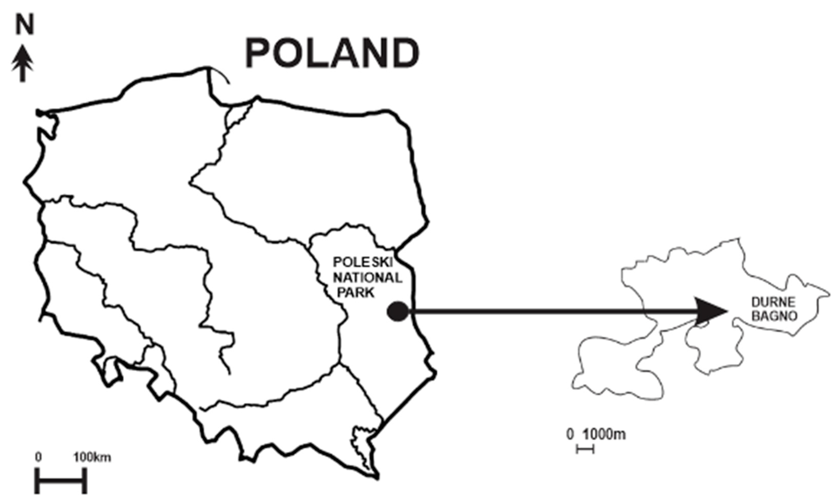 Water 15 03793 g001 Water 15 03793 g001