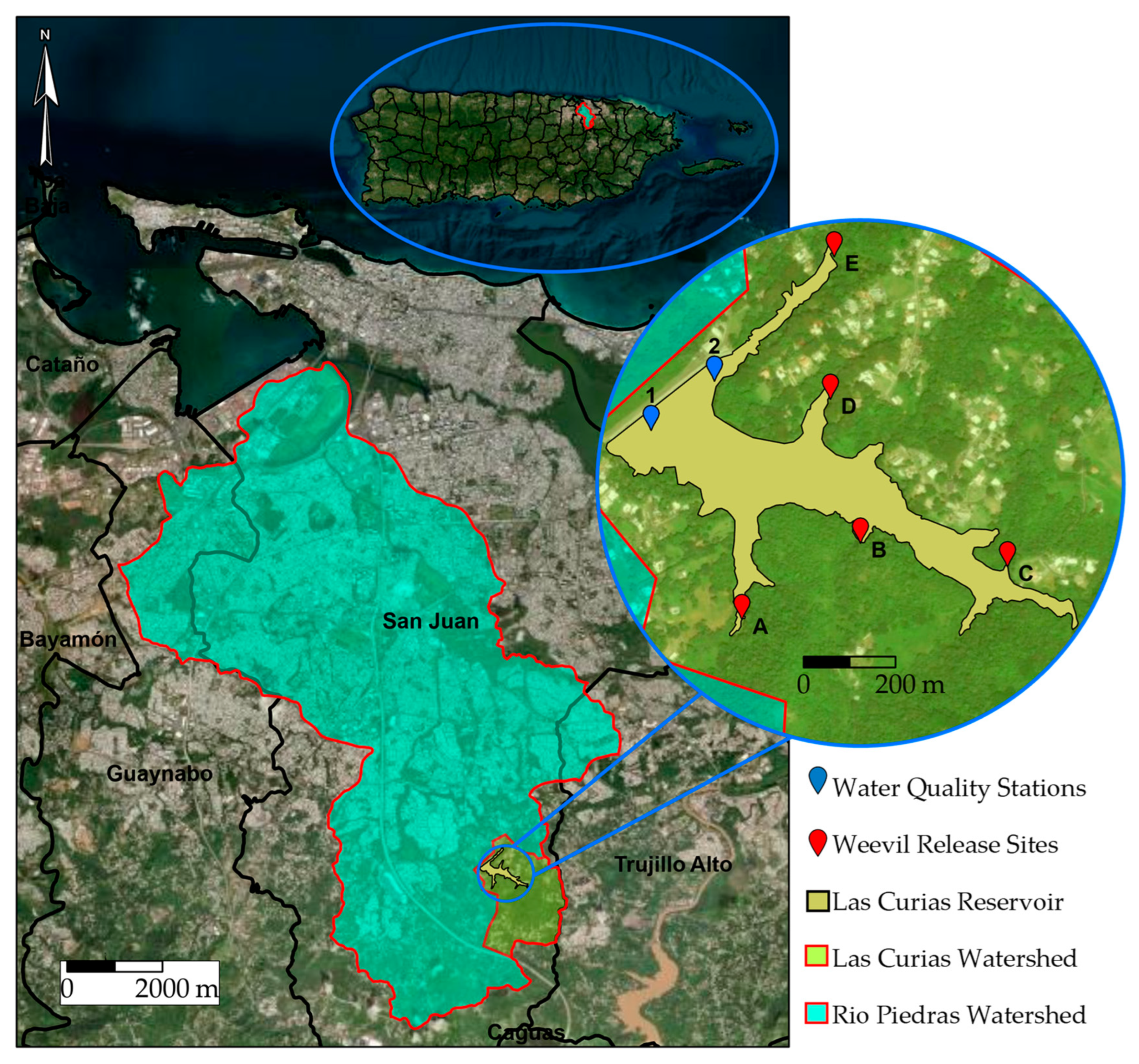 Water 15 03966 g001 Water 15 03966 g001