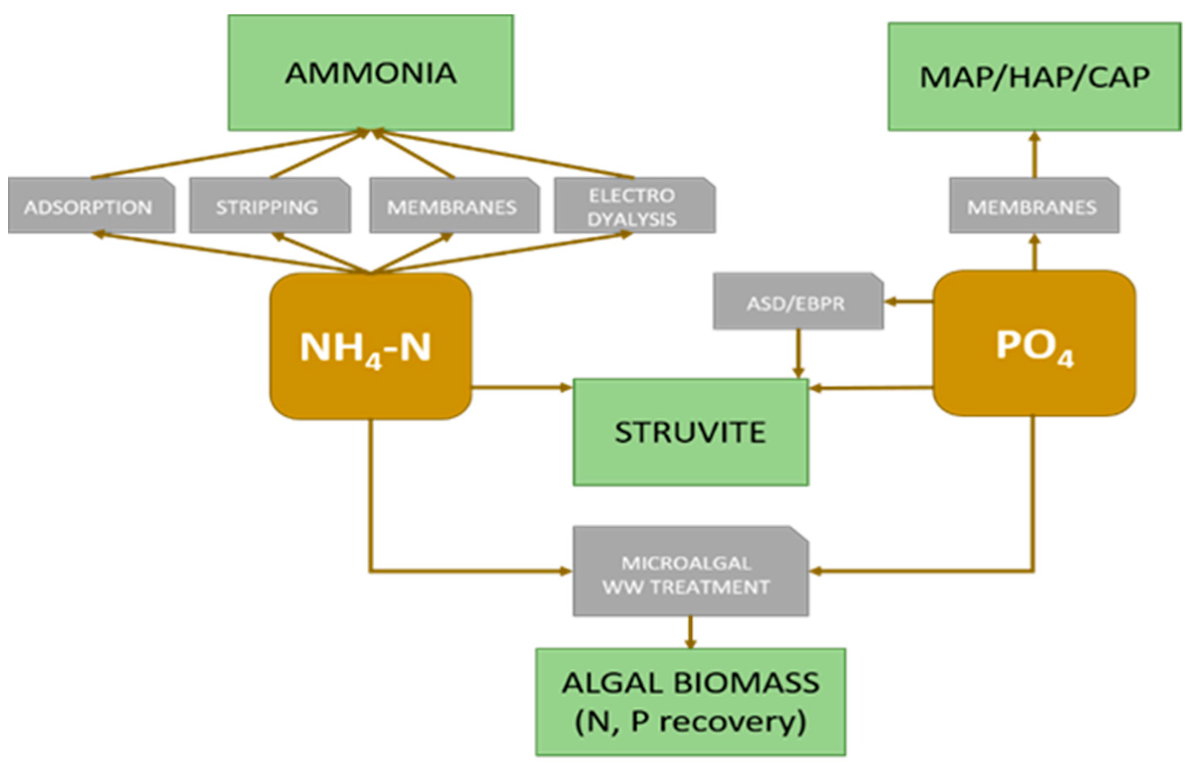 Water 15 03967 g005 Water 15 03967 g005