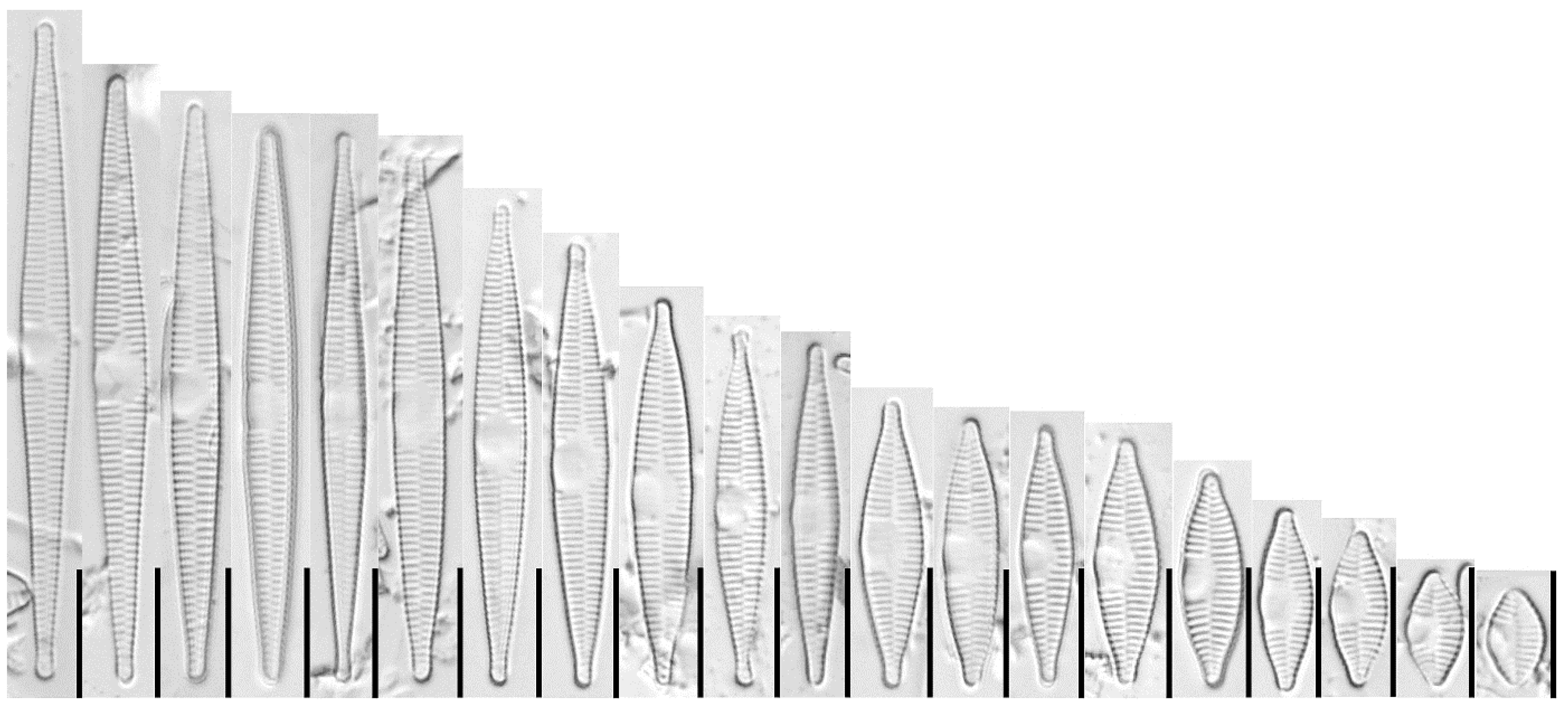 Water 15 03994 g003 Water 15 03994 g003