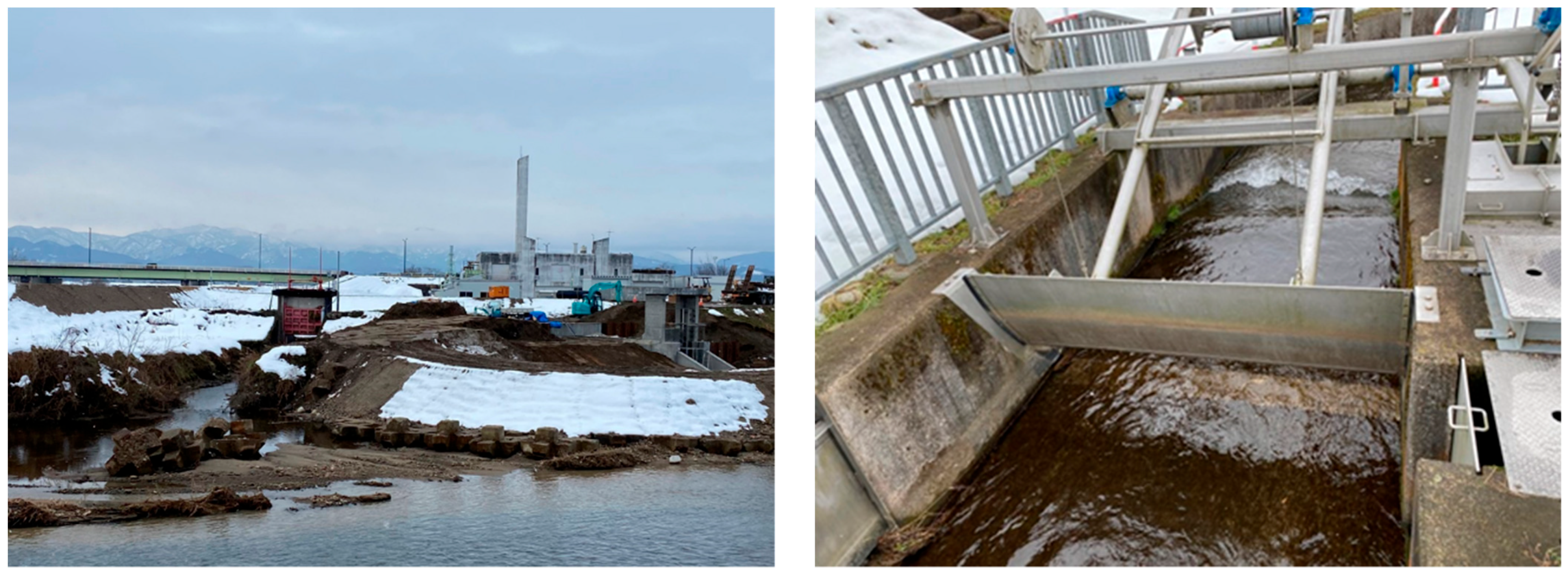 Water 15 04139 g005 Water 15 04139 g005