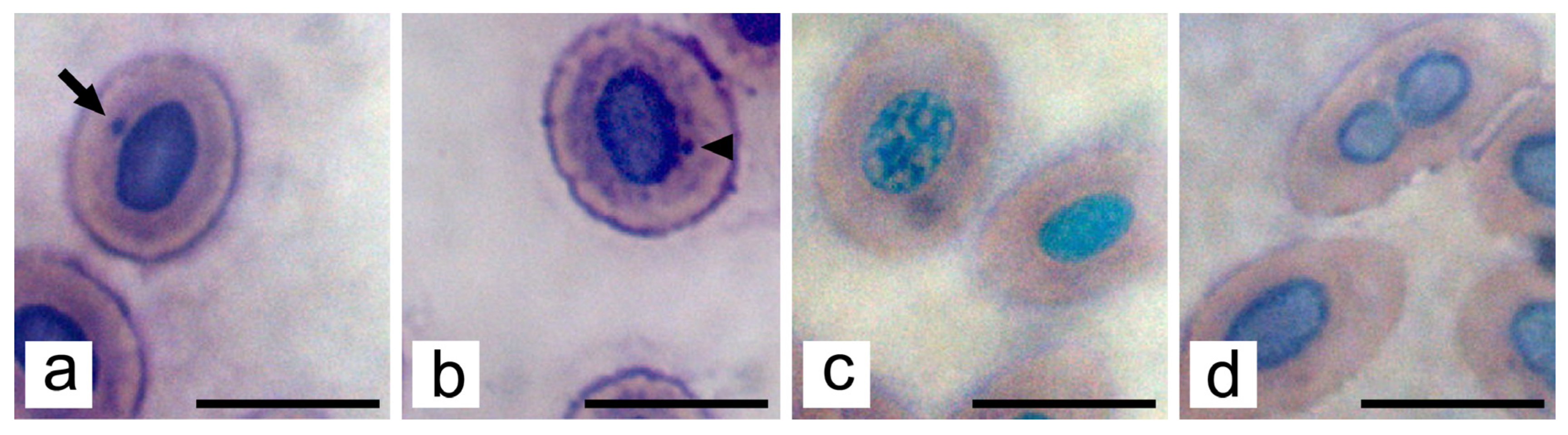 Water 15 04182 g004 Water 15 04182 g004