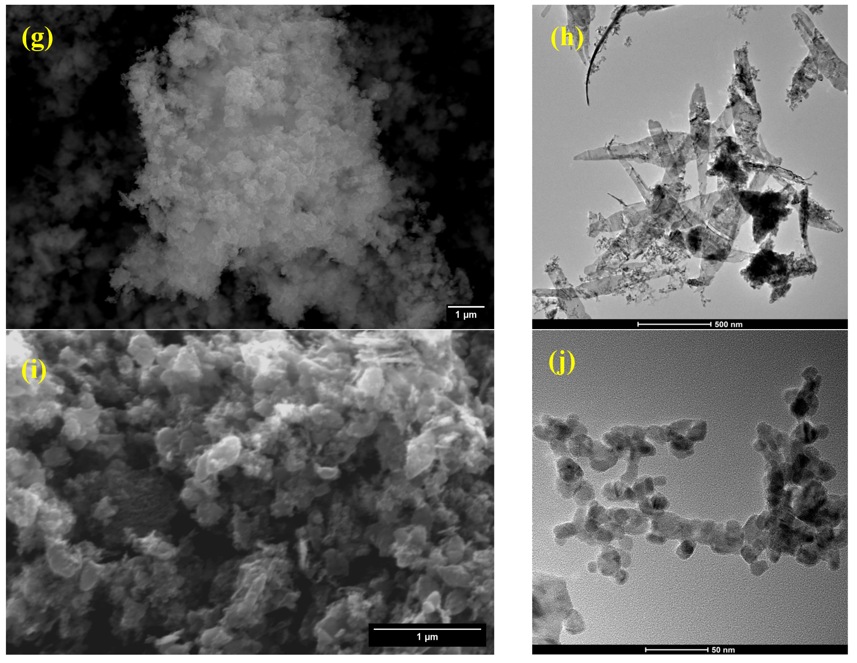 Water 15 04318 g003b