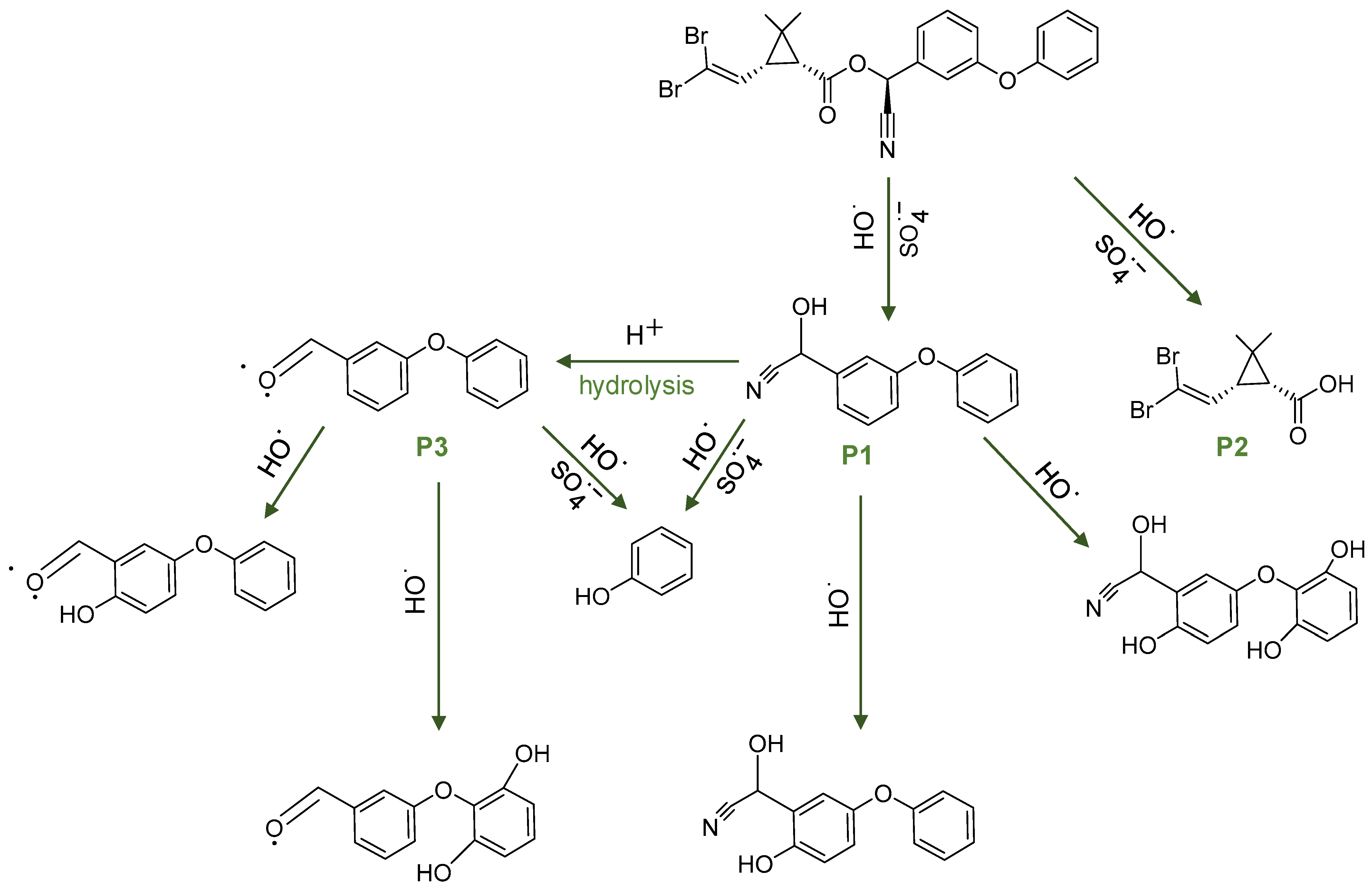 Water 16 00008 g009 Water 16 00008 g009