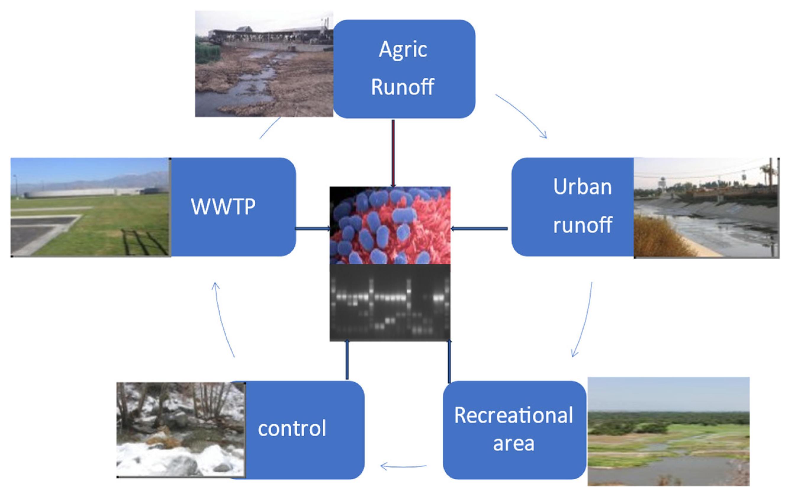 Water 16 00116 g001 Water 16 00116 g001