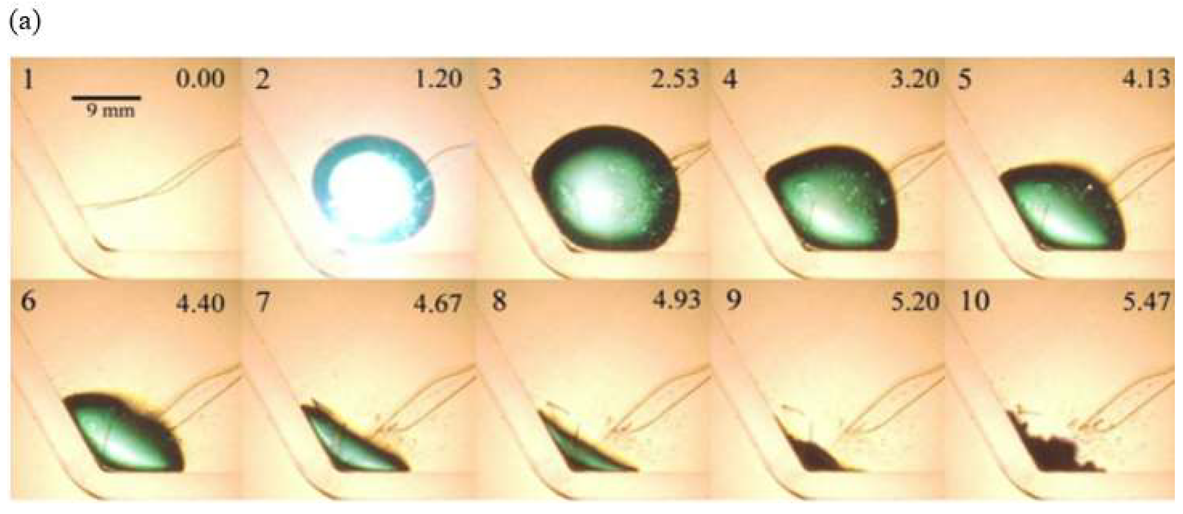 Water 16 00161 g004a