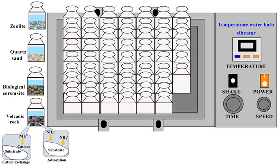 Adsorption Performance of Different Wetland Substrates for