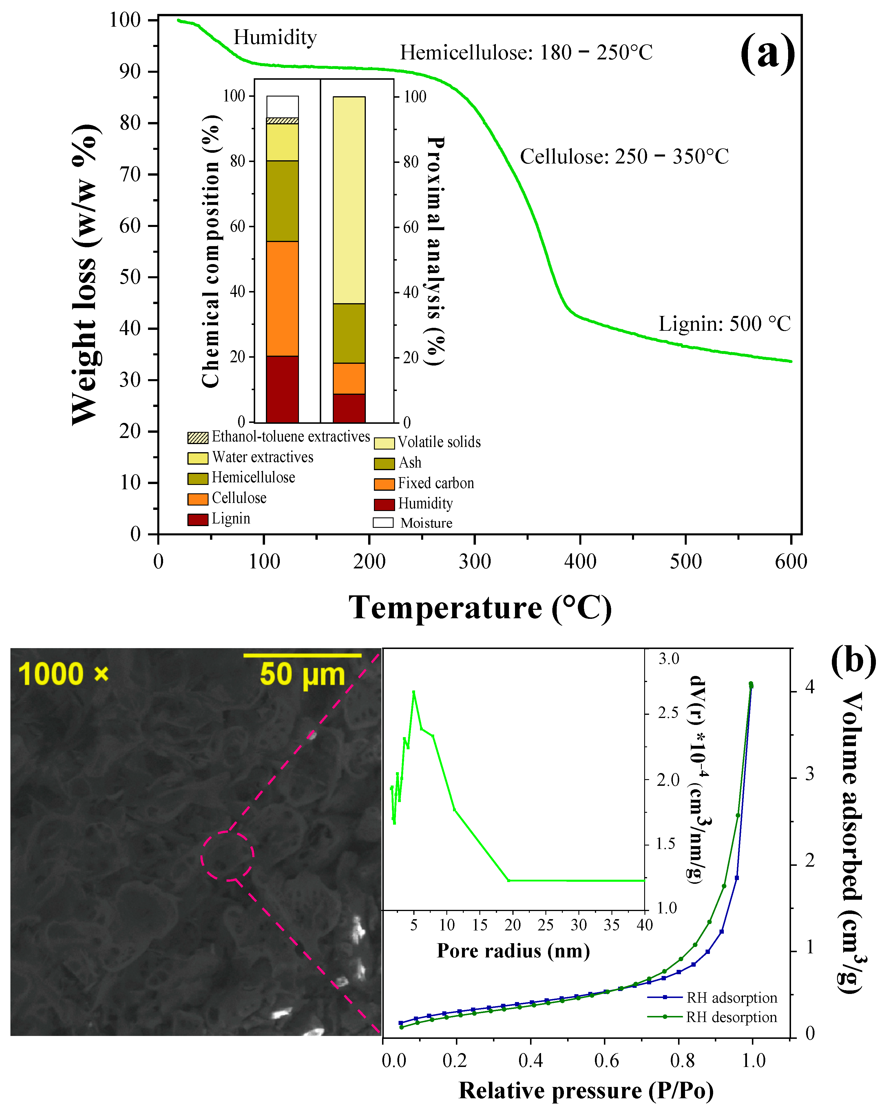 Water 16 00197 g003a
