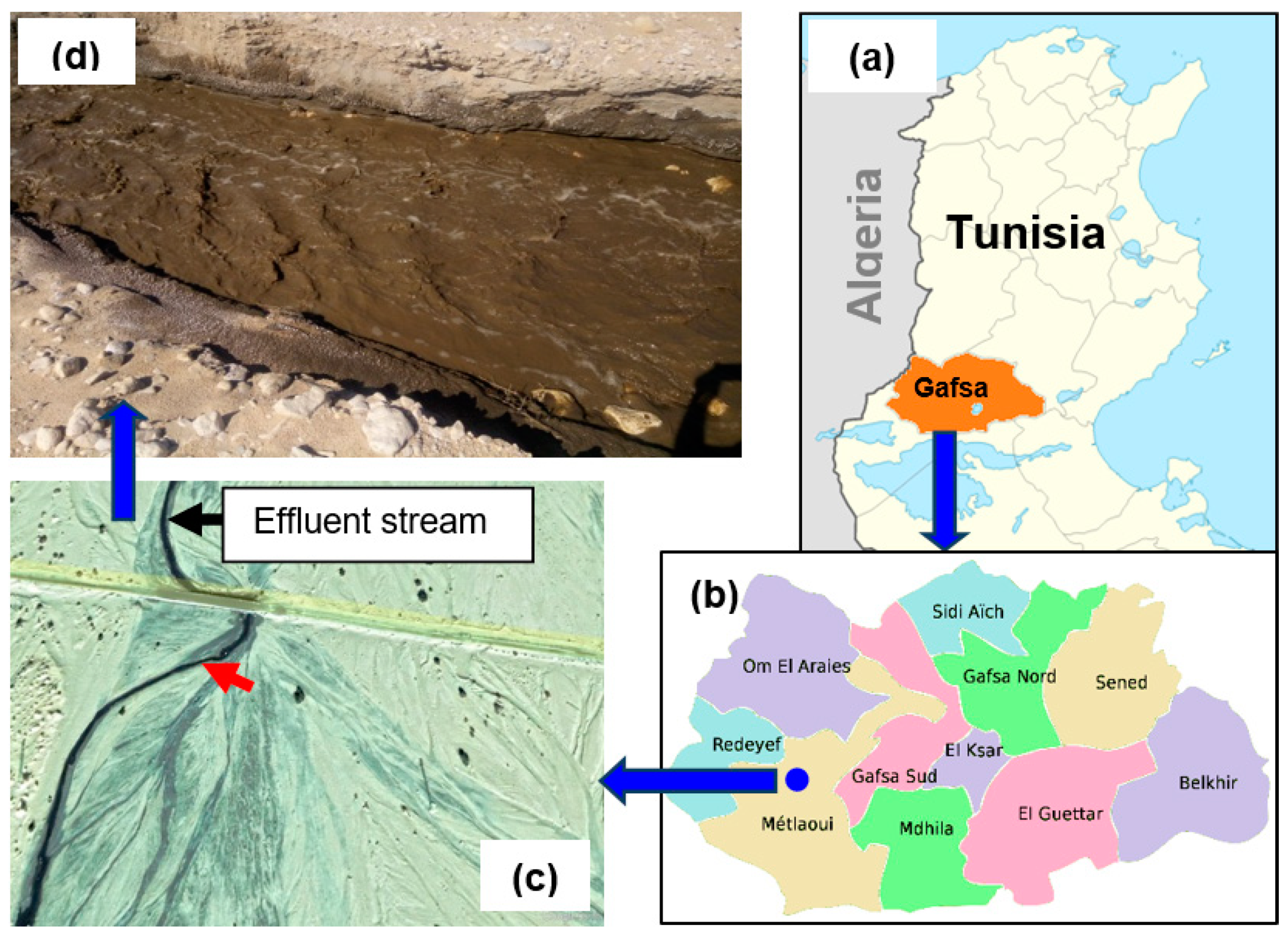 Water 16 00214 g001 Water 16 00214 g001