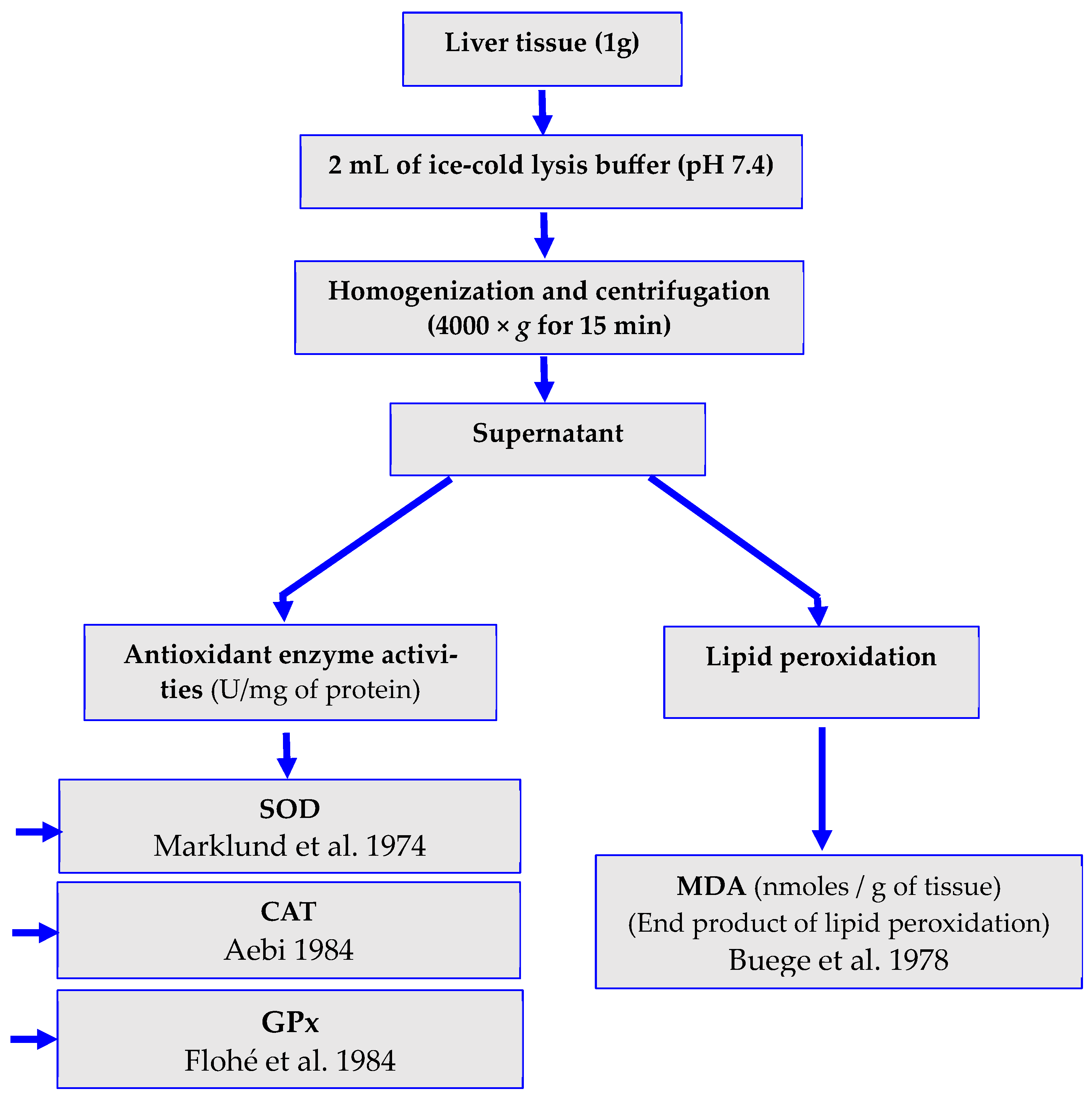 Water 16 00214 g002 Water 16 00214 g002