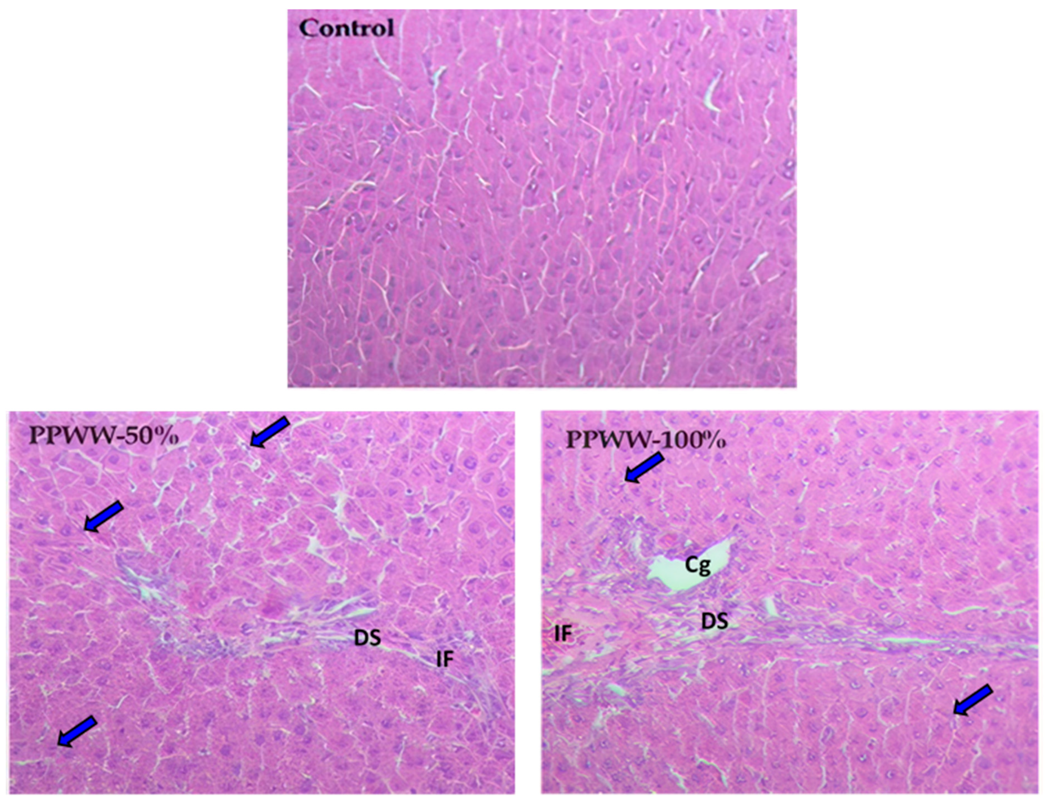 Water 16 00214 g006 Water 16 00214 g006