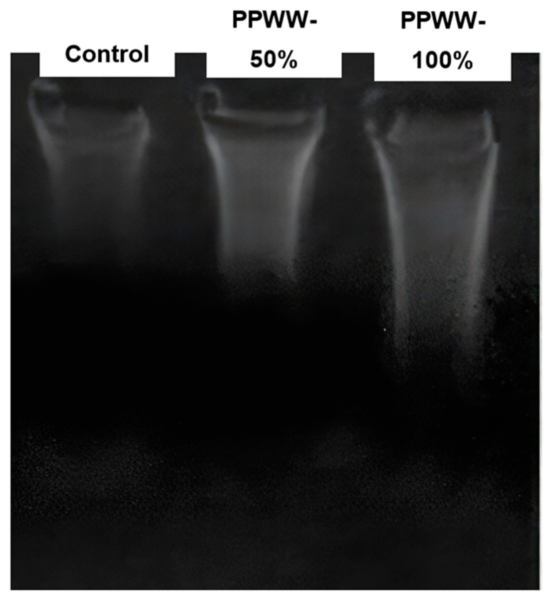 Water 16 00214 g007 Water 16 00214 g007