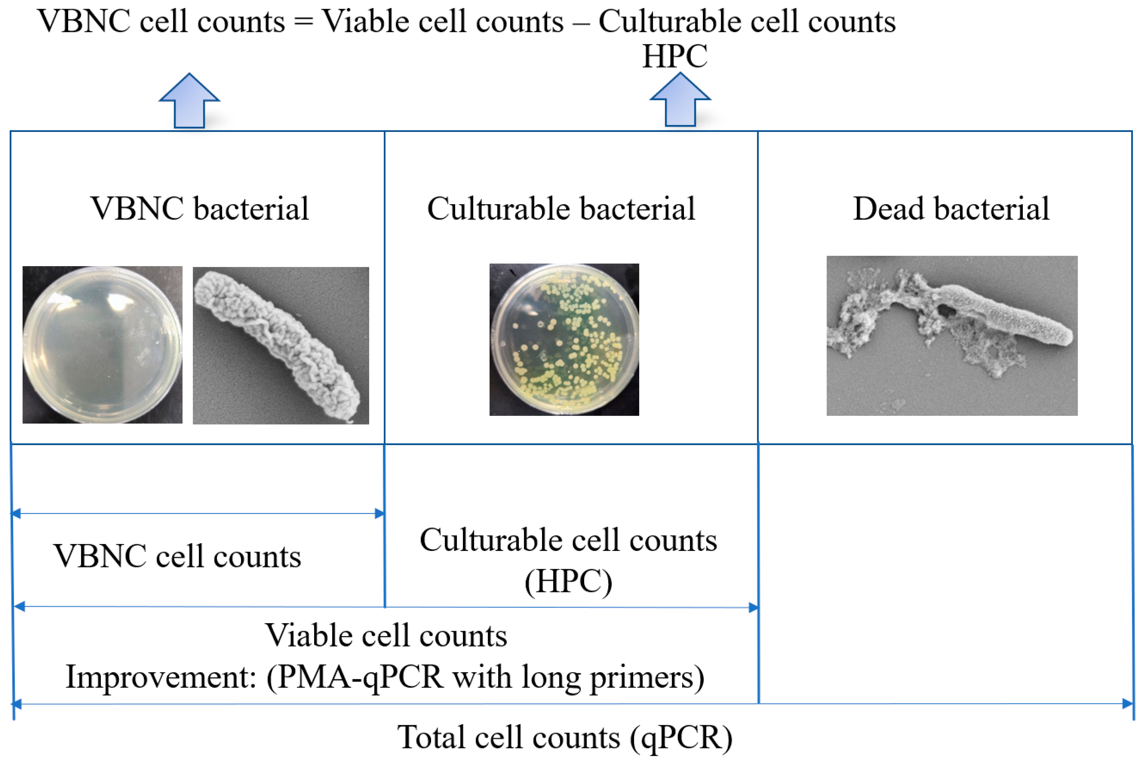 Water 16 00236 sch001