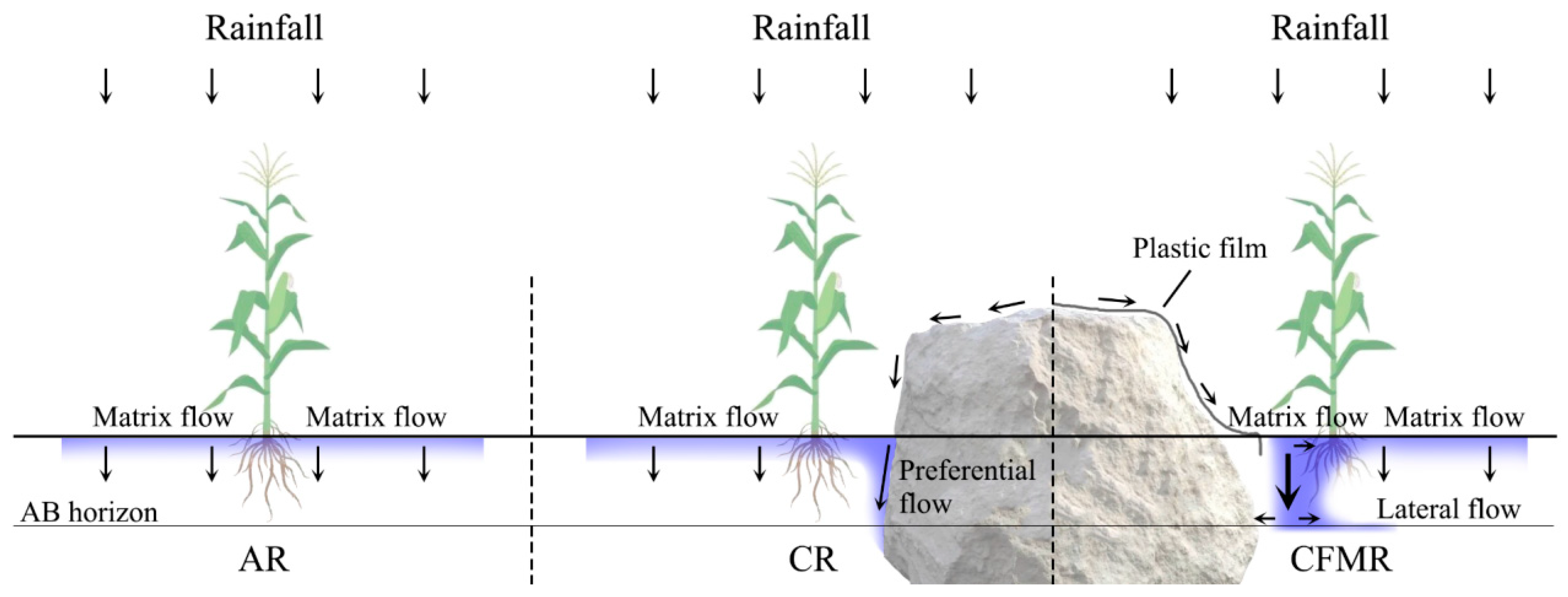 Water 16 00254 g004 Water 16 00254 g004