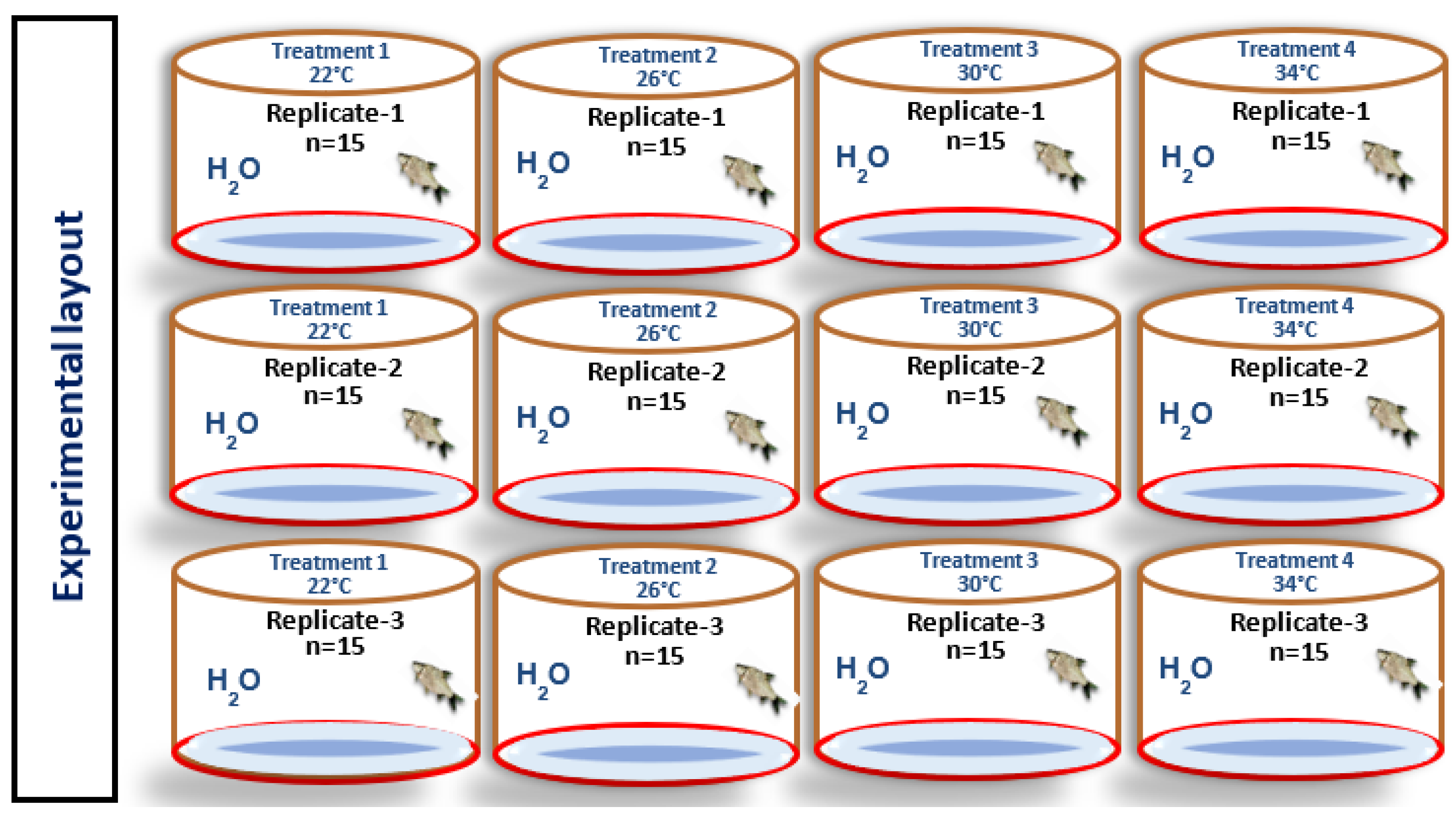 Water 16 00292 g001 Water 16 00292 g001