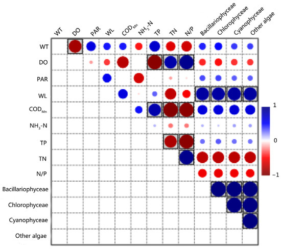 Temporal and Spatial Distribution of Phytoplankton and Role