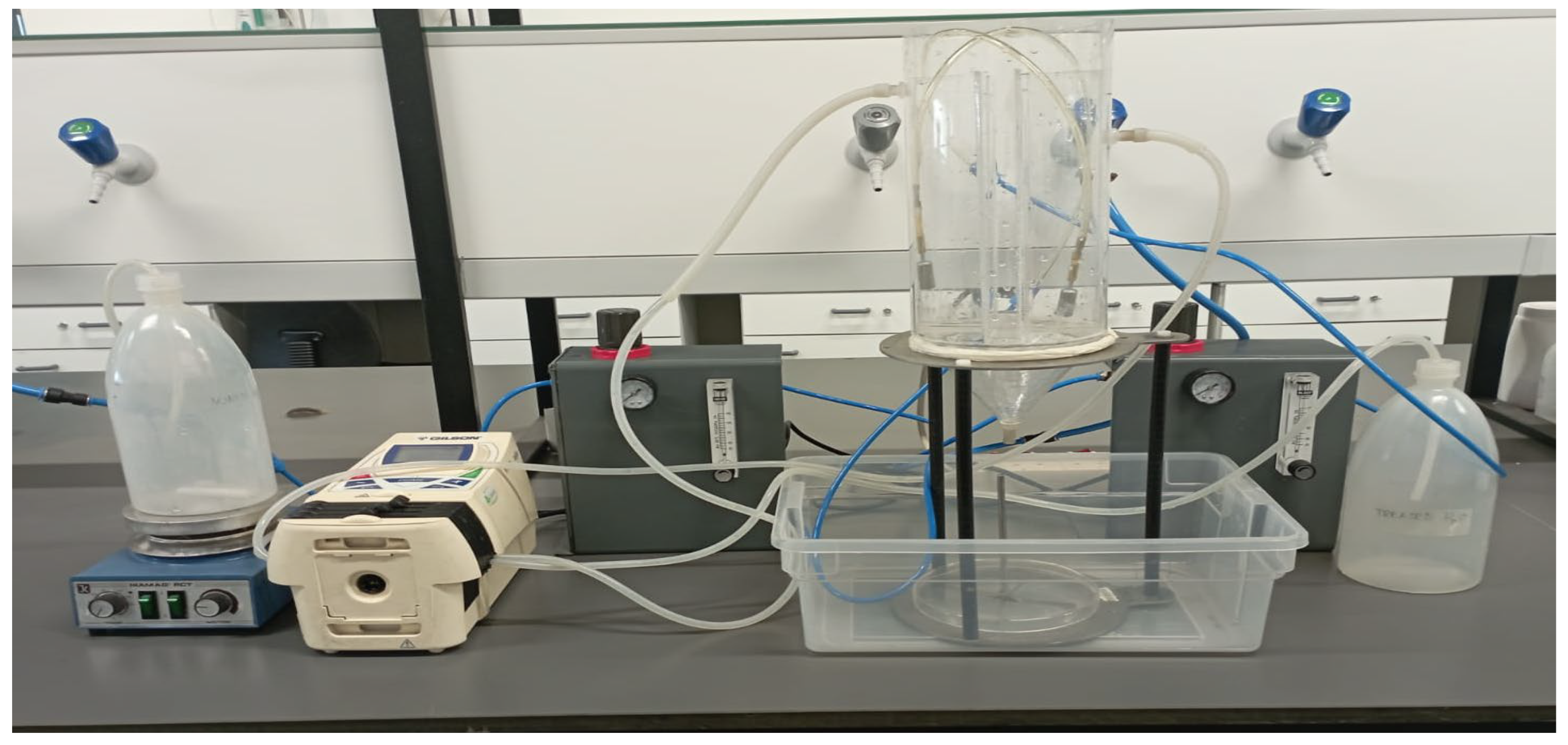 Water 16 00329 g002 Water 16 00329 g002