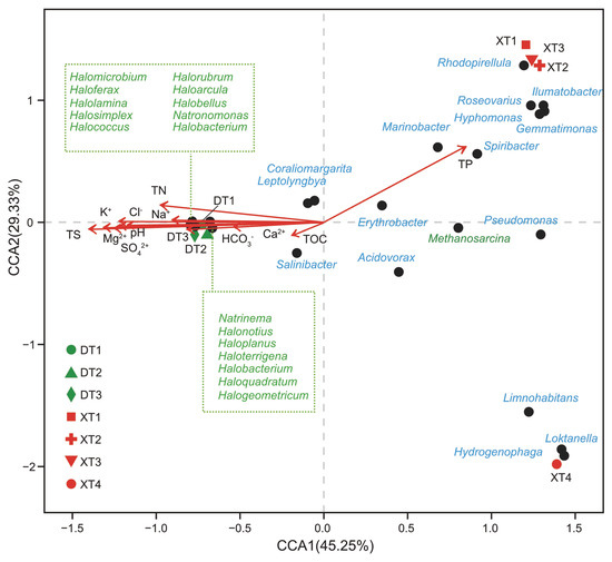 Prokaryotic Microbial Diversity Analysis and Preliminary Prediction of ...