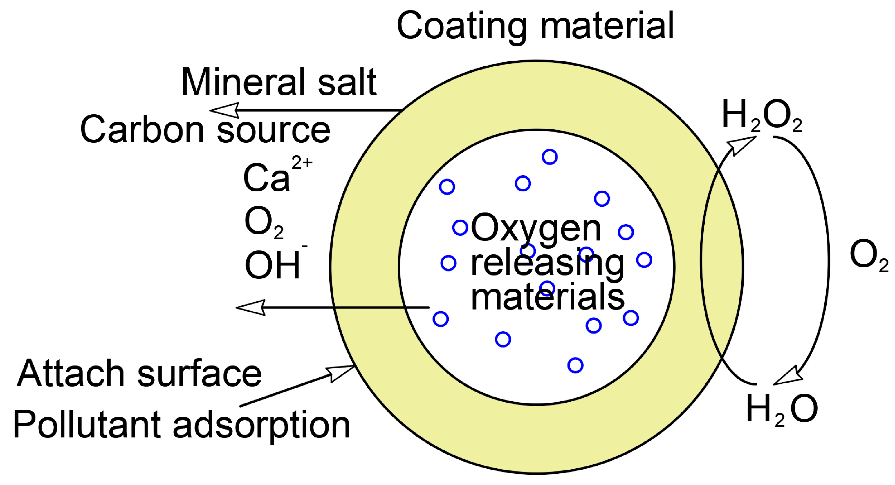 Water 16 00456 g003 Water 16 00456 g003