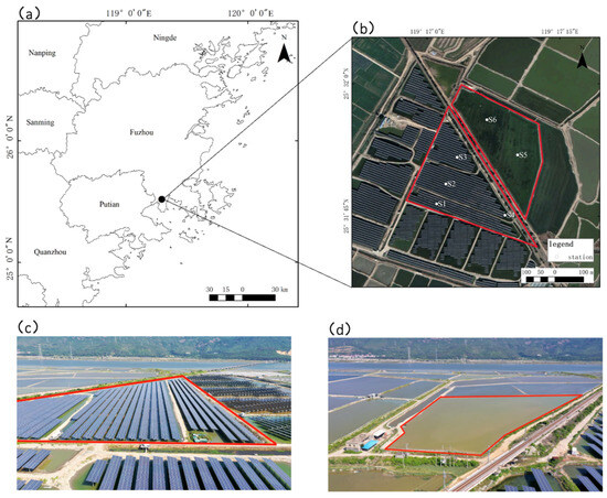 The Effects of a Fishery Complementary Photovoltaic Power Plant on 
