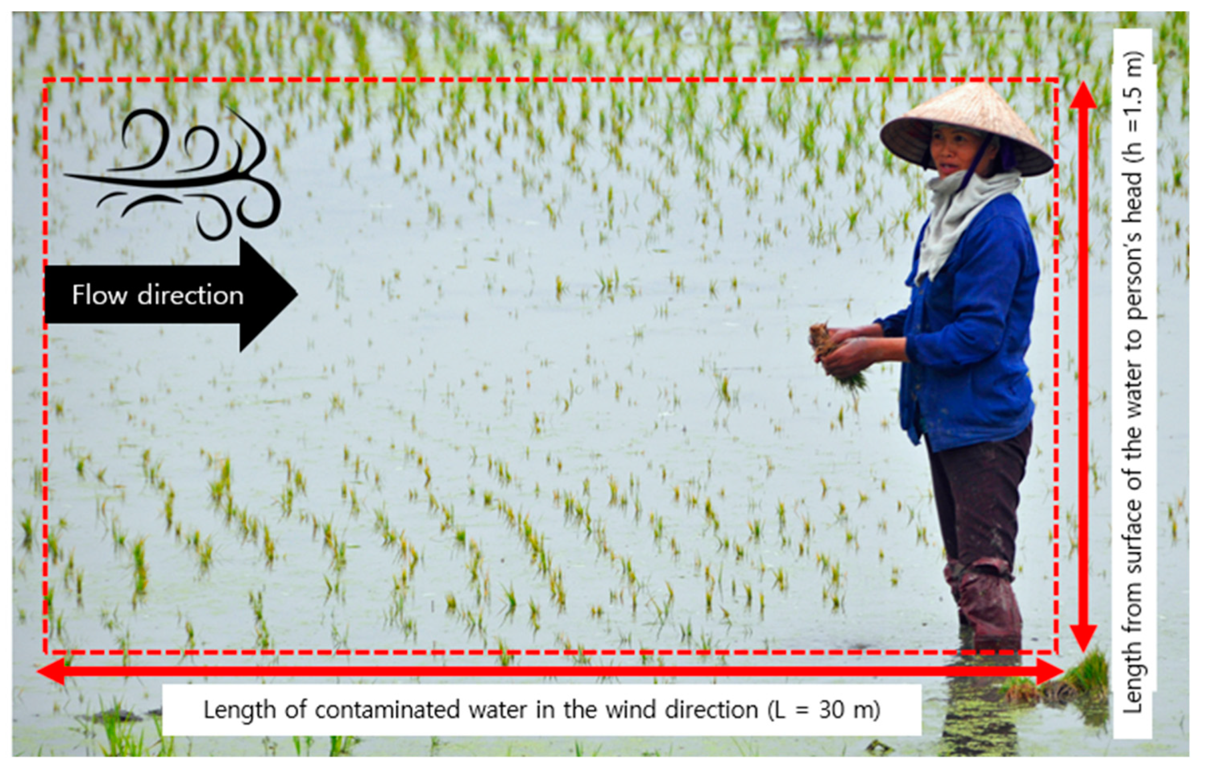 Water 16 00584 g002 Water 16 00584 g002