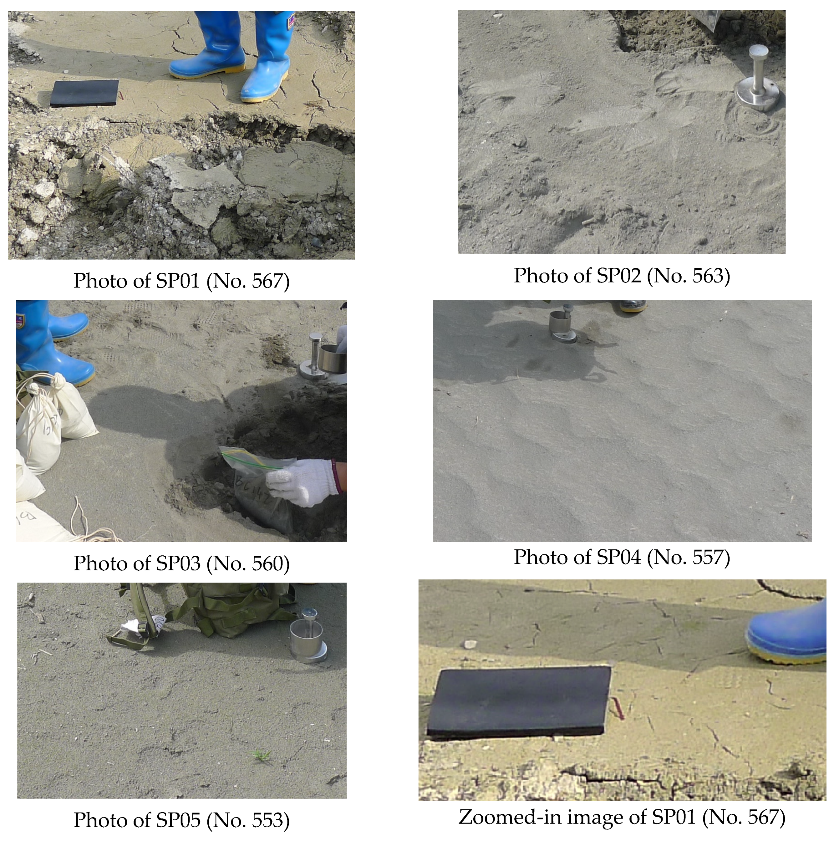 Water 16 00634 g008b