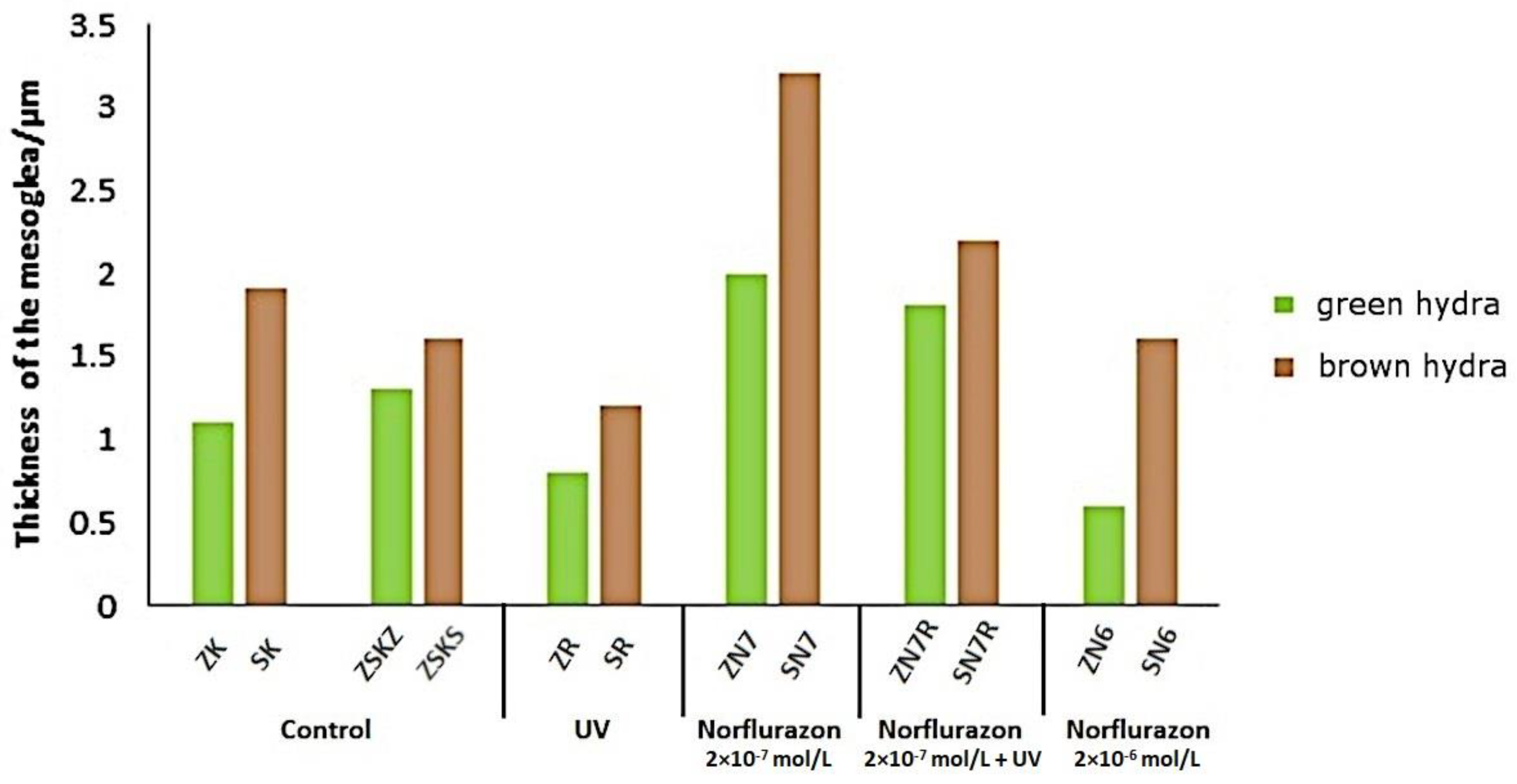 Water 16 00645 g004 Water 16 00645 g004