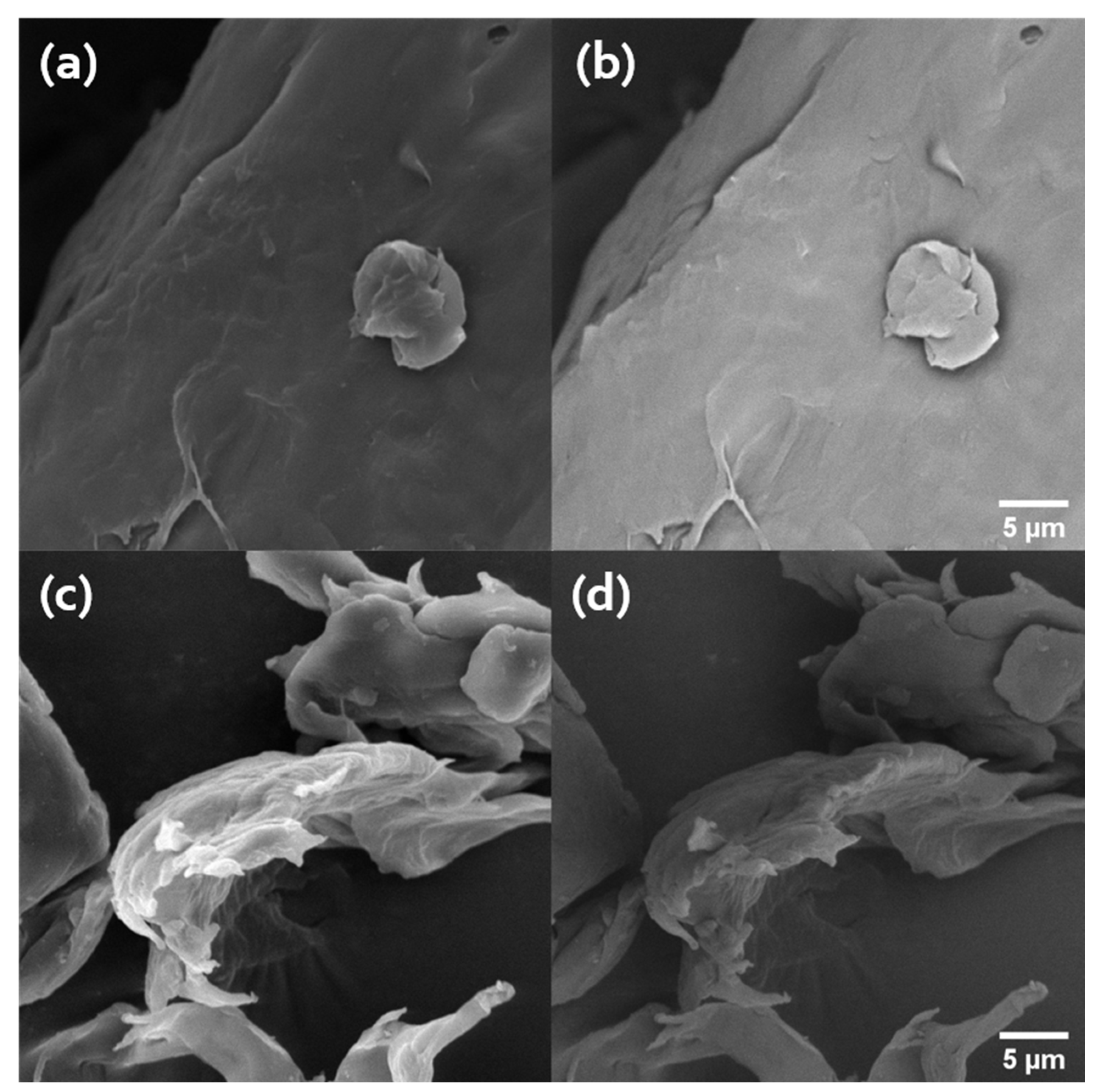 Water 16 00673 g007 Water 16 00673 g007