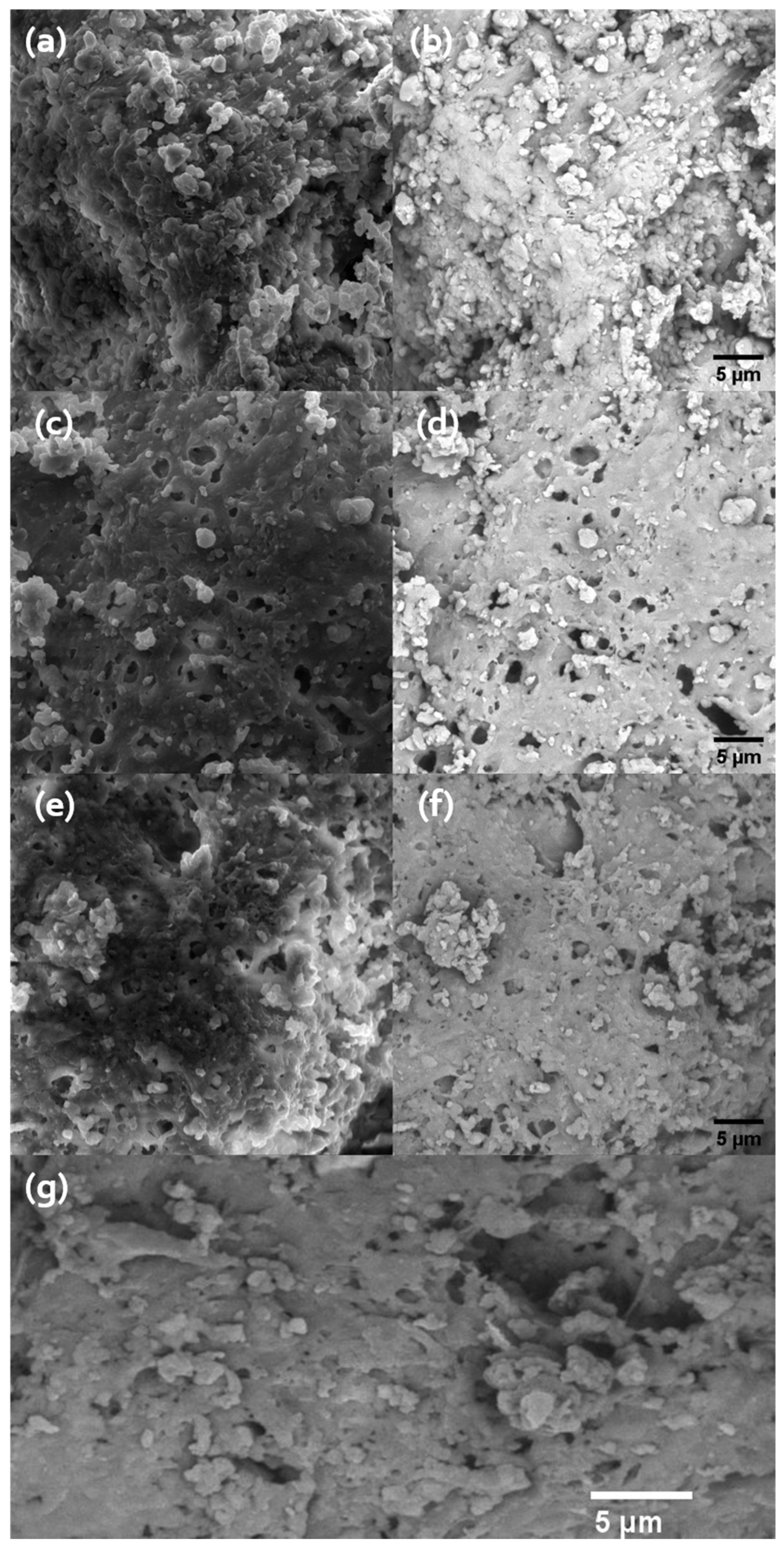 Water 16 00673 g008 Water 16 00673 g008