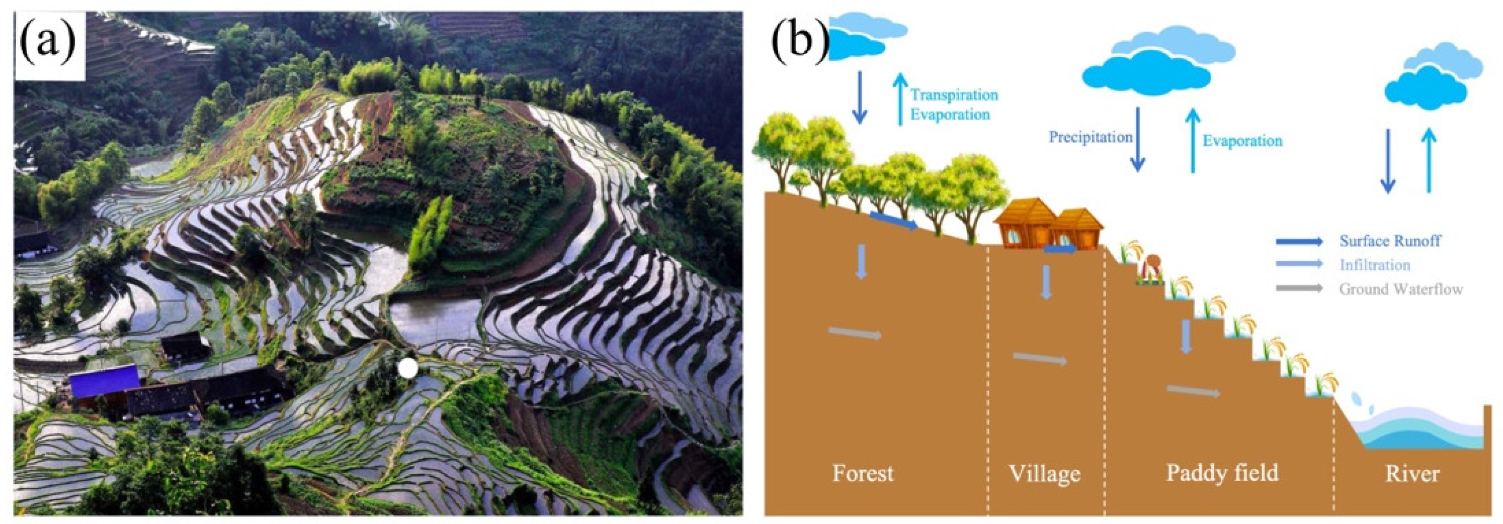 Water 16 00712 g002 Water 16 00712 g002