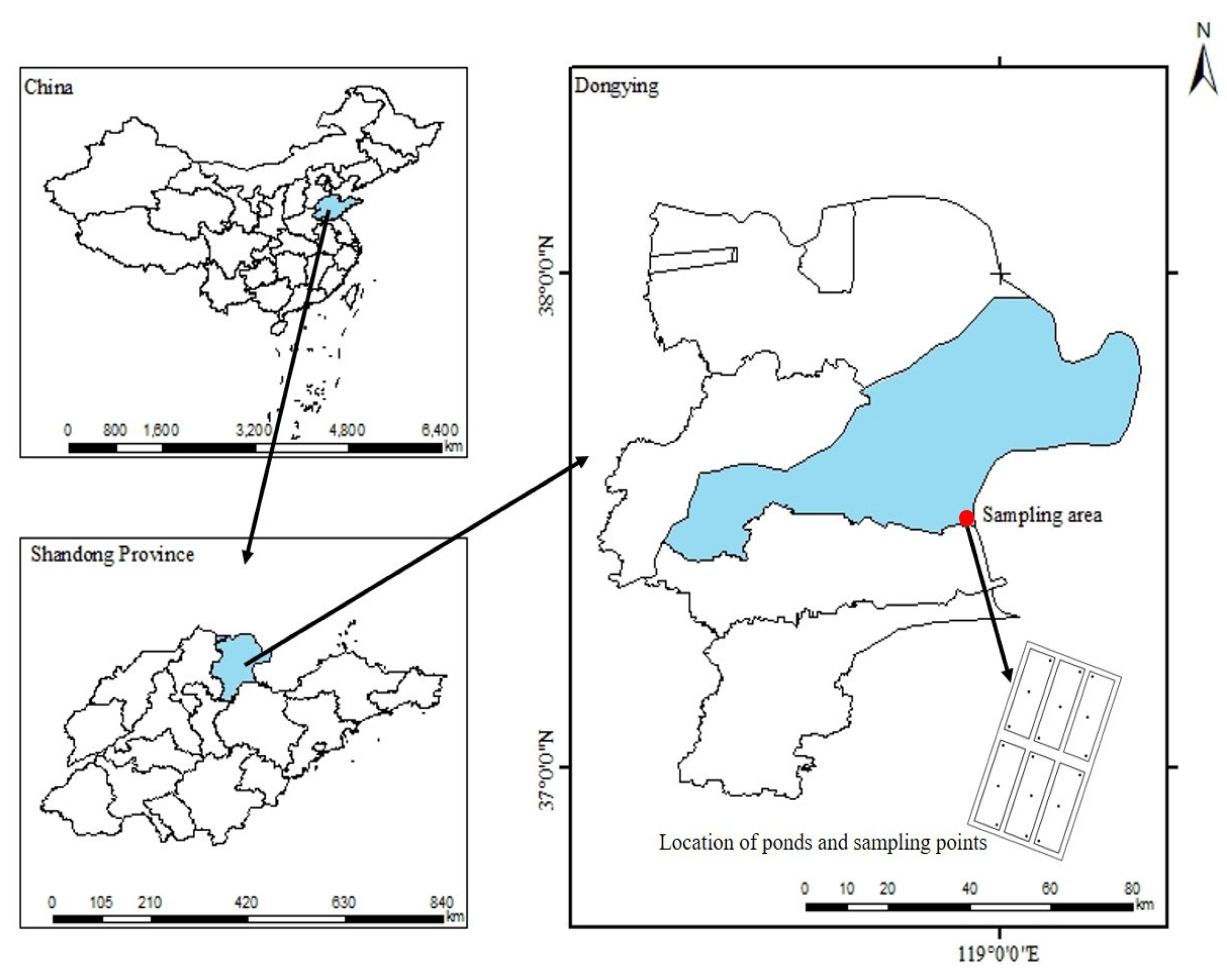 Water 16 00721 g001 Water 16 00721 g001