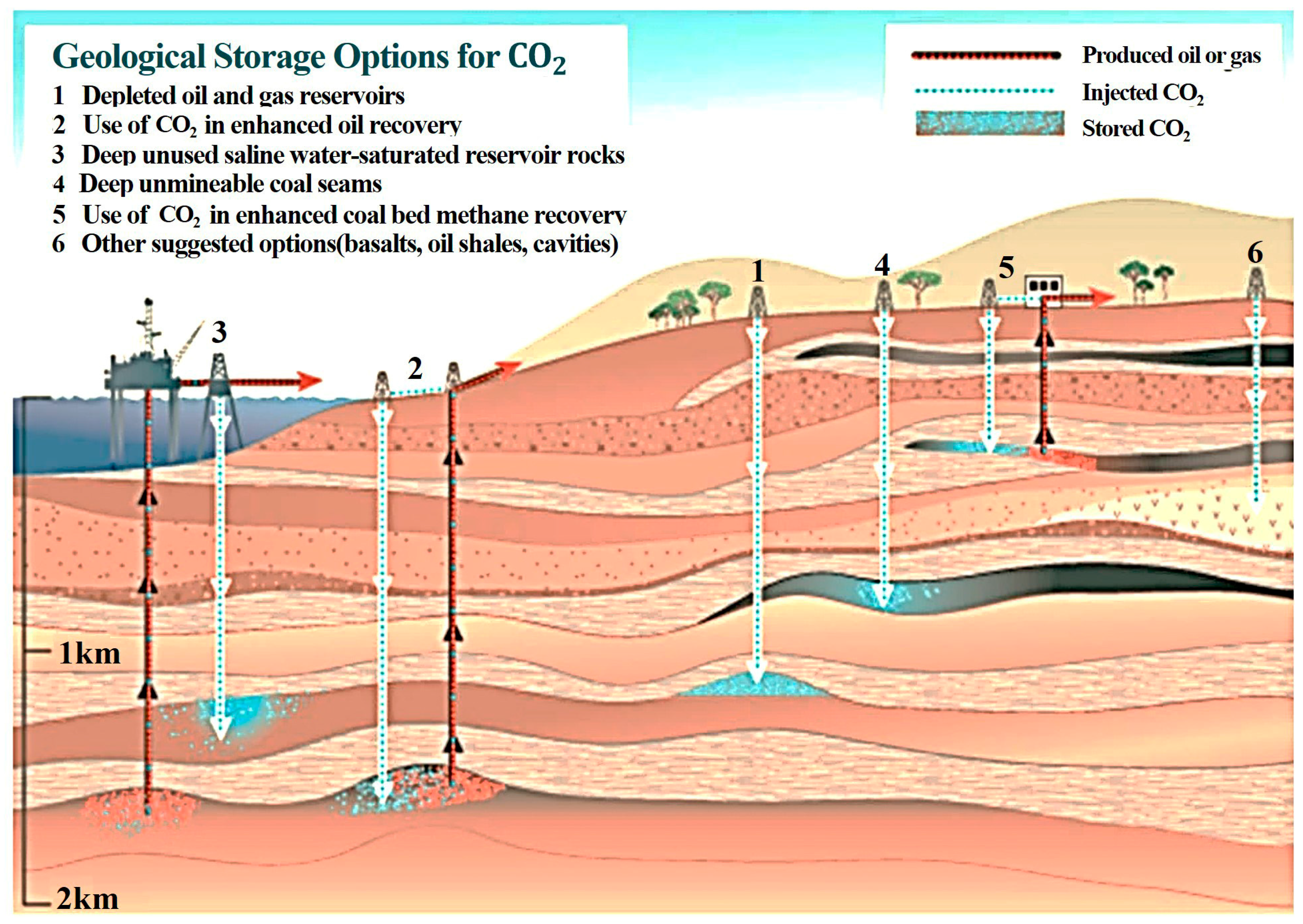 Water 16 00868 g001 Water 16 00868 g001