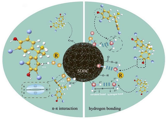 ばなな Degradation of Water Pollutants by Biochar Combined with