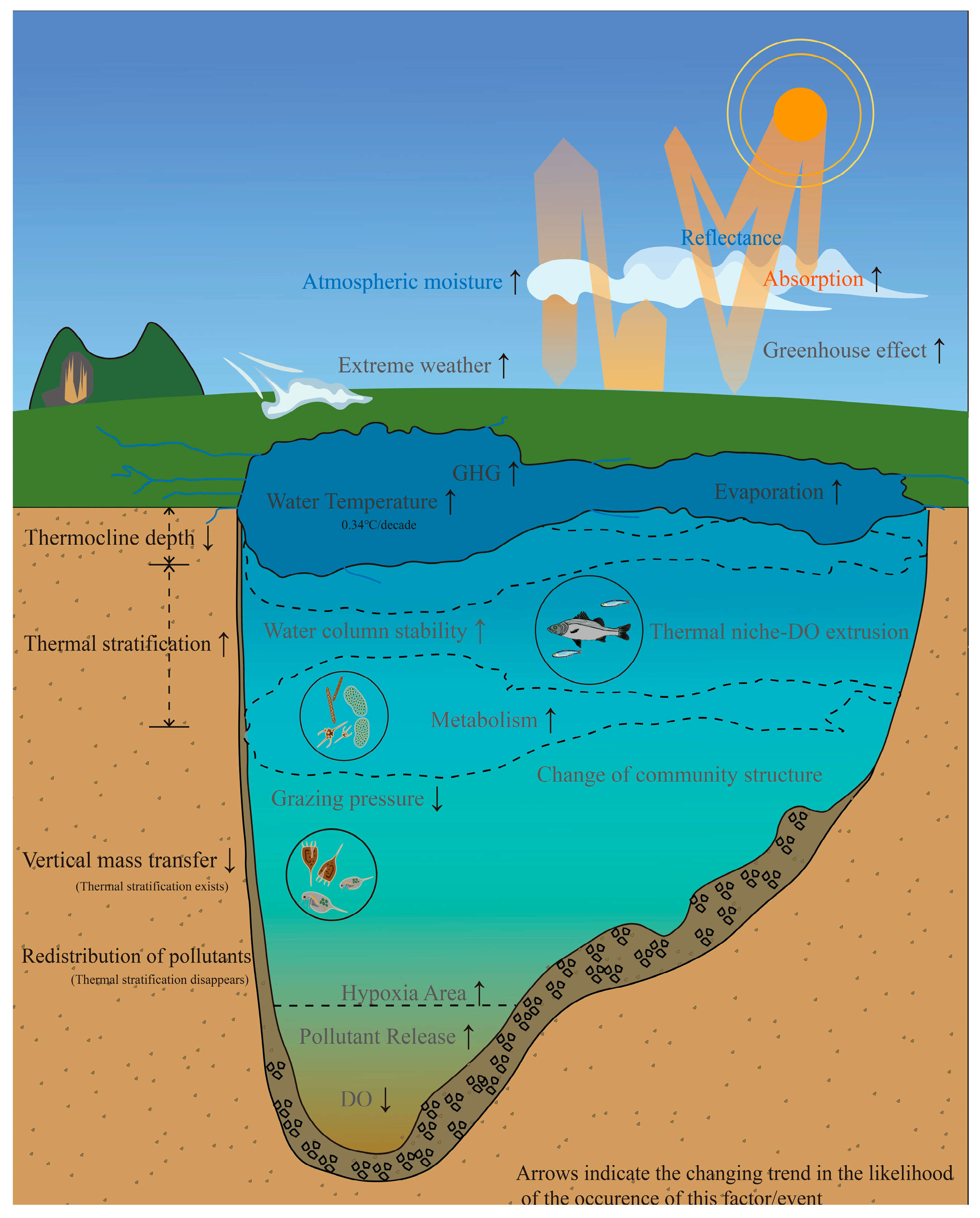 Water 16 00888 g002 Water 16 00888 g002