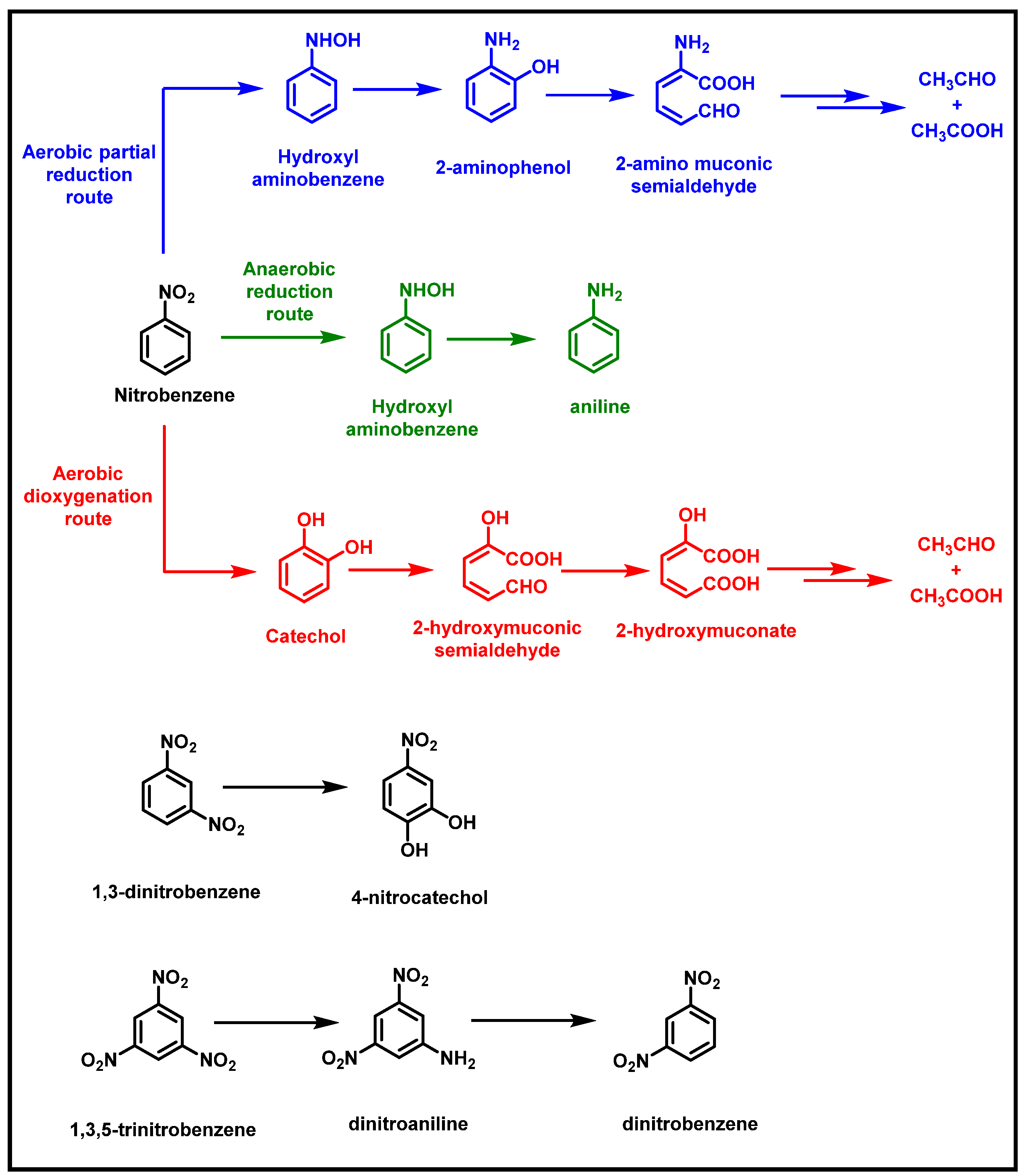 Water 16 00901 g003 Water 16 00901 g003