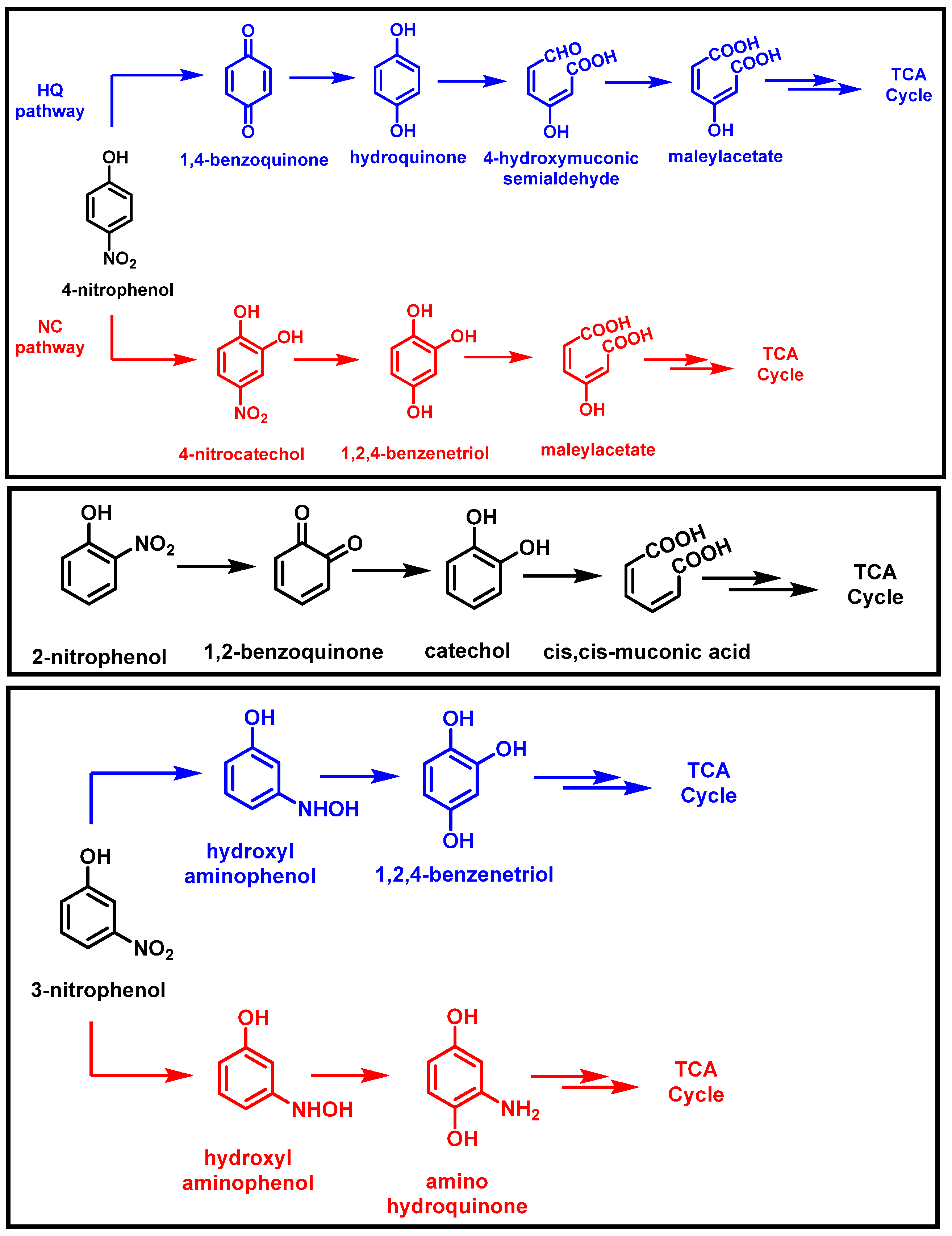 Water 16 00901 g004 Water 16 00901 g004