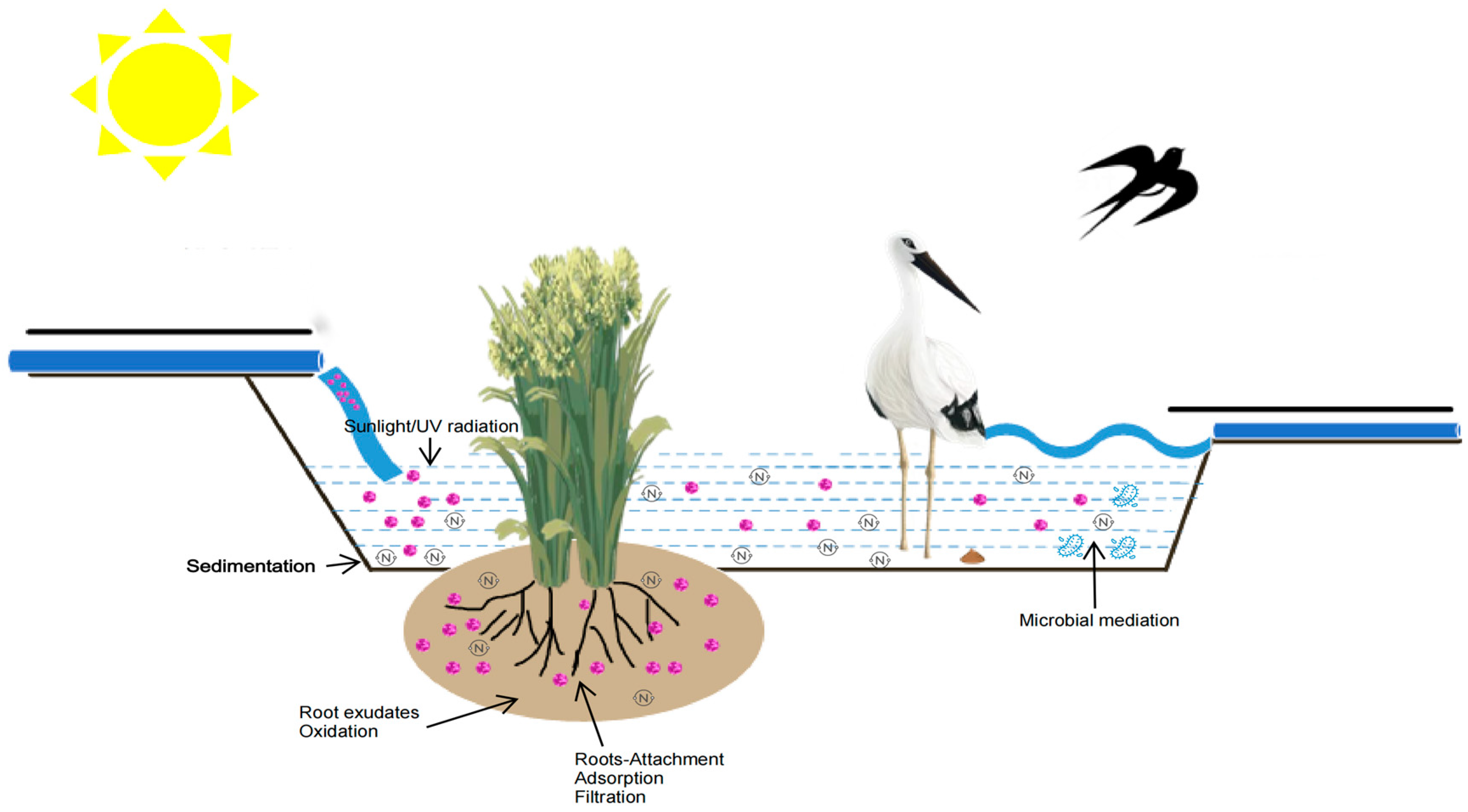 Water 16 00917 g001 Water 16 00917 g001